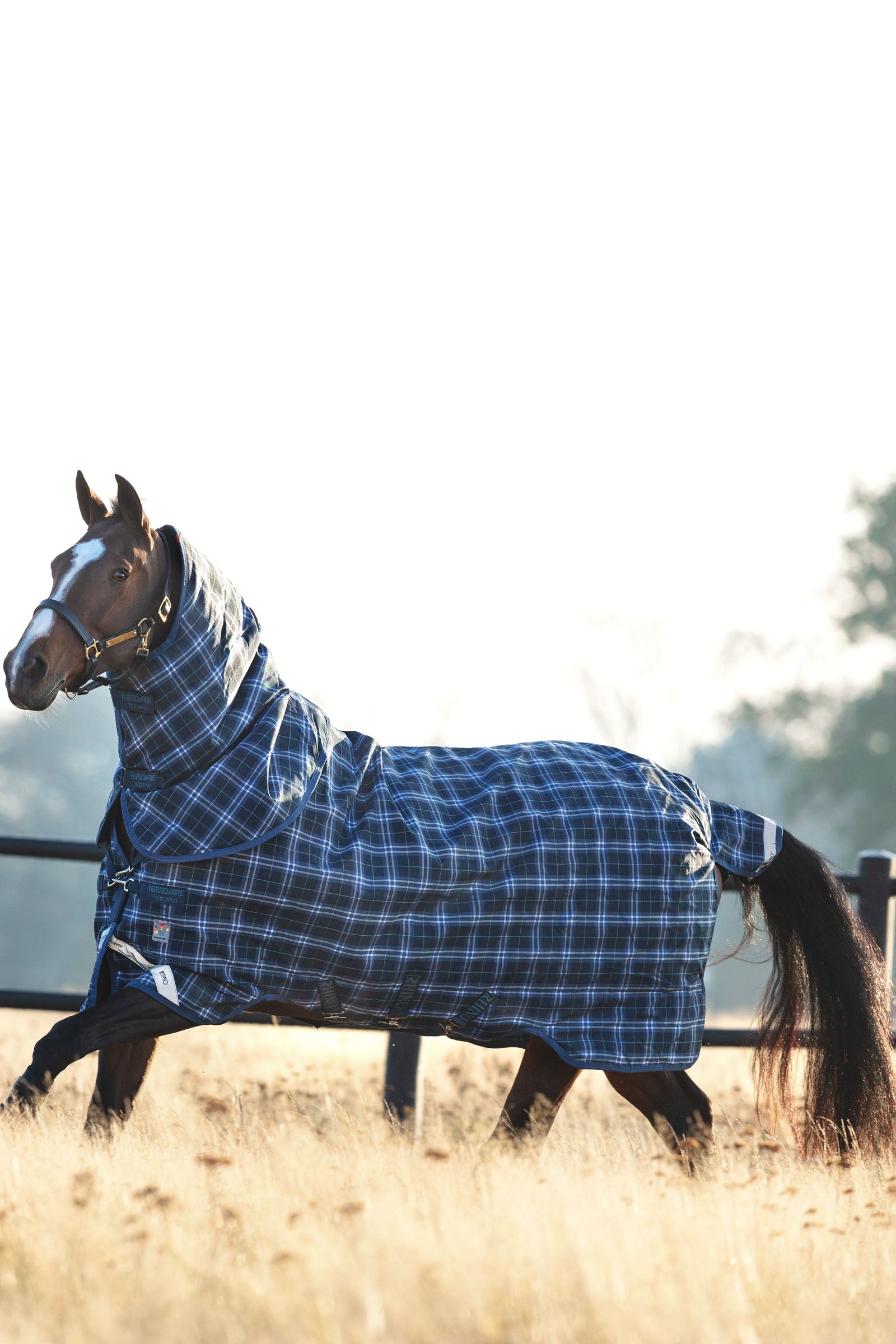 Horseware Rhino Plus Turnout Rug with Detachable Neck, 0g Horse Rugs