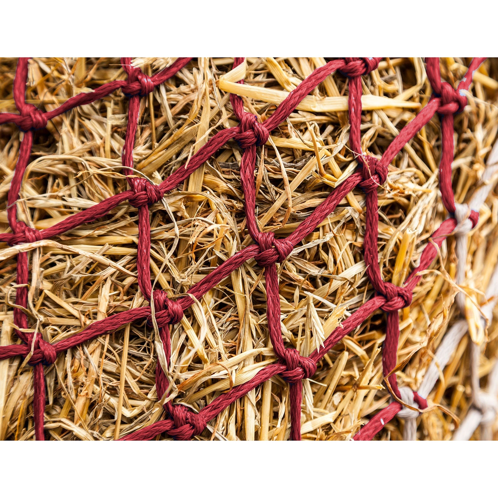 LeMieux Hippo Filet à foin Mangeoires & Abreuvoirs