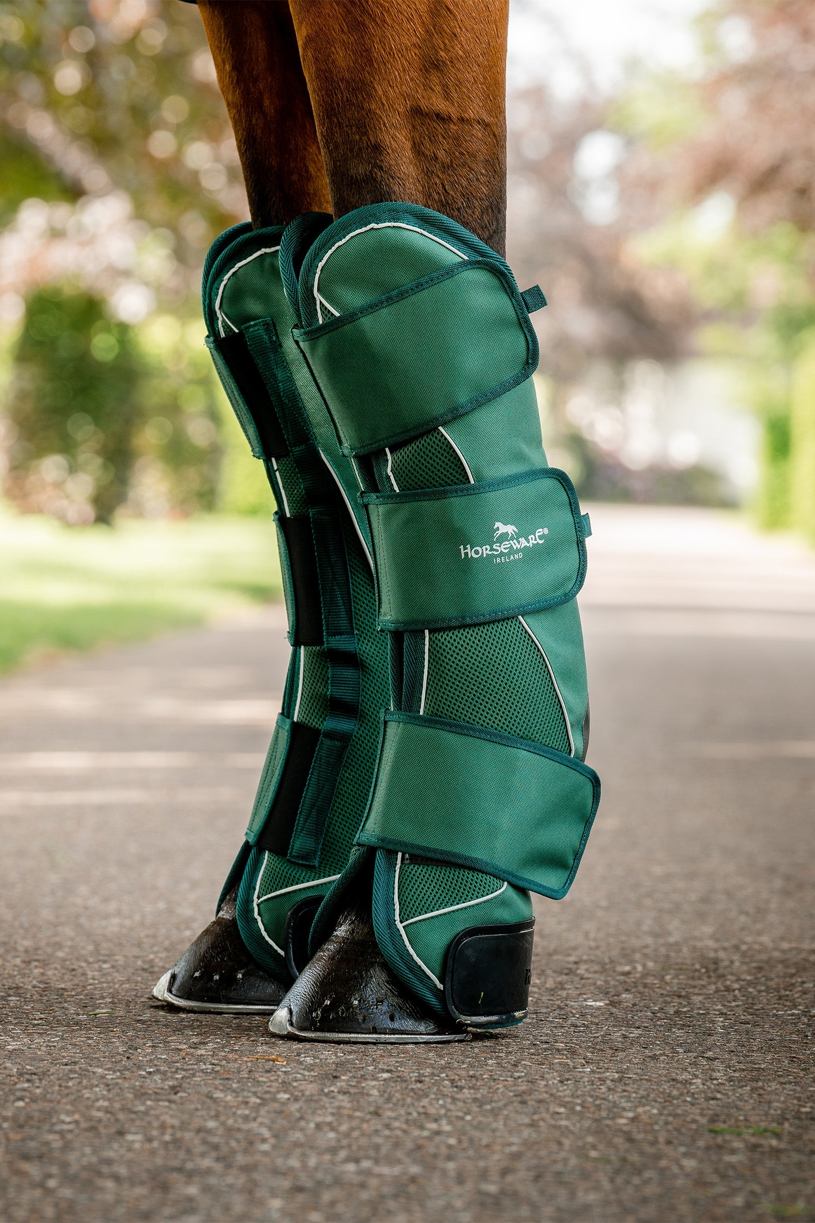 Horseware Signature Guêtres de Transport Leg & Hoof Protection