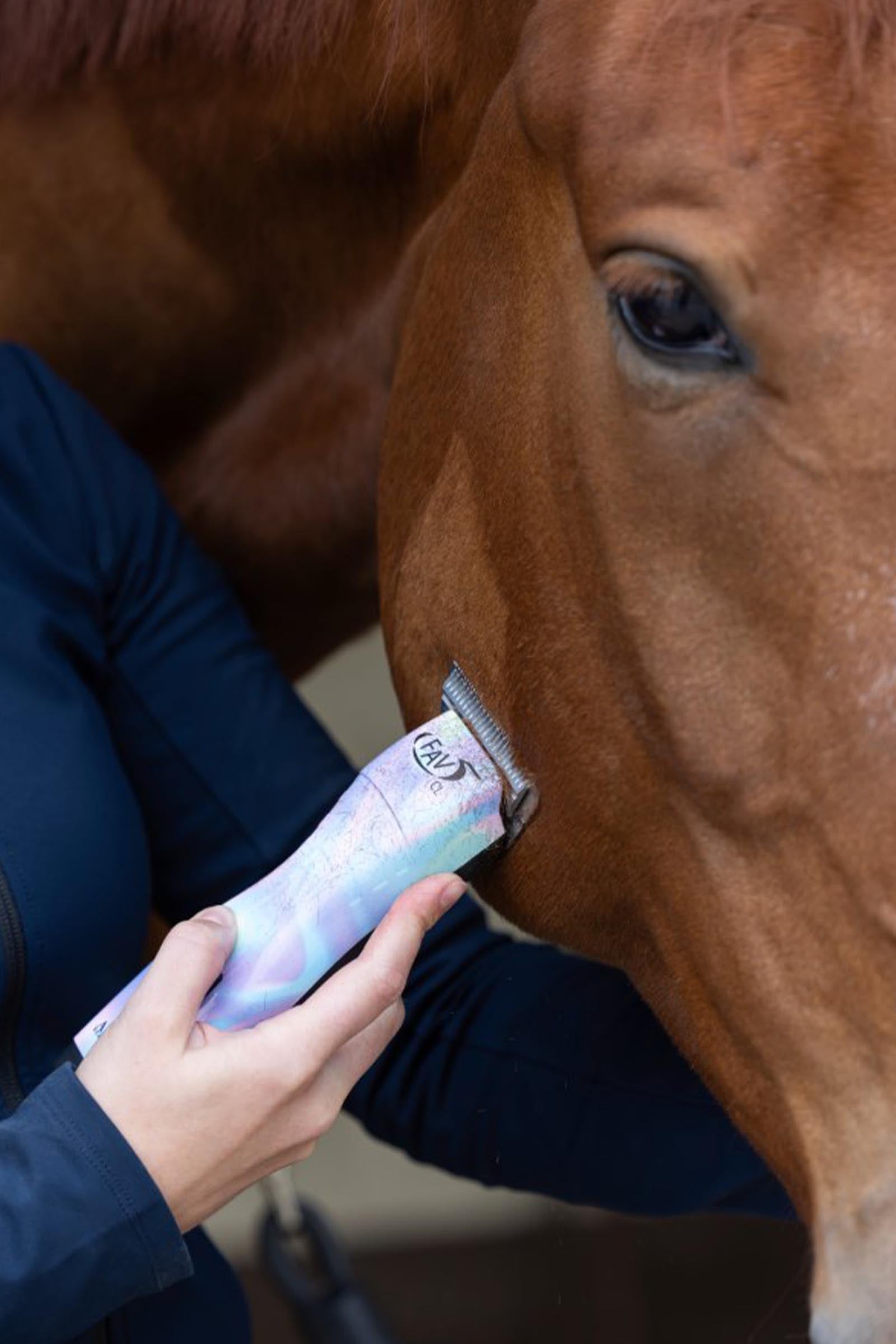Aesculap FAV5 CL Cordless Clipper For Horses Horse Clipping & Trimming Tools