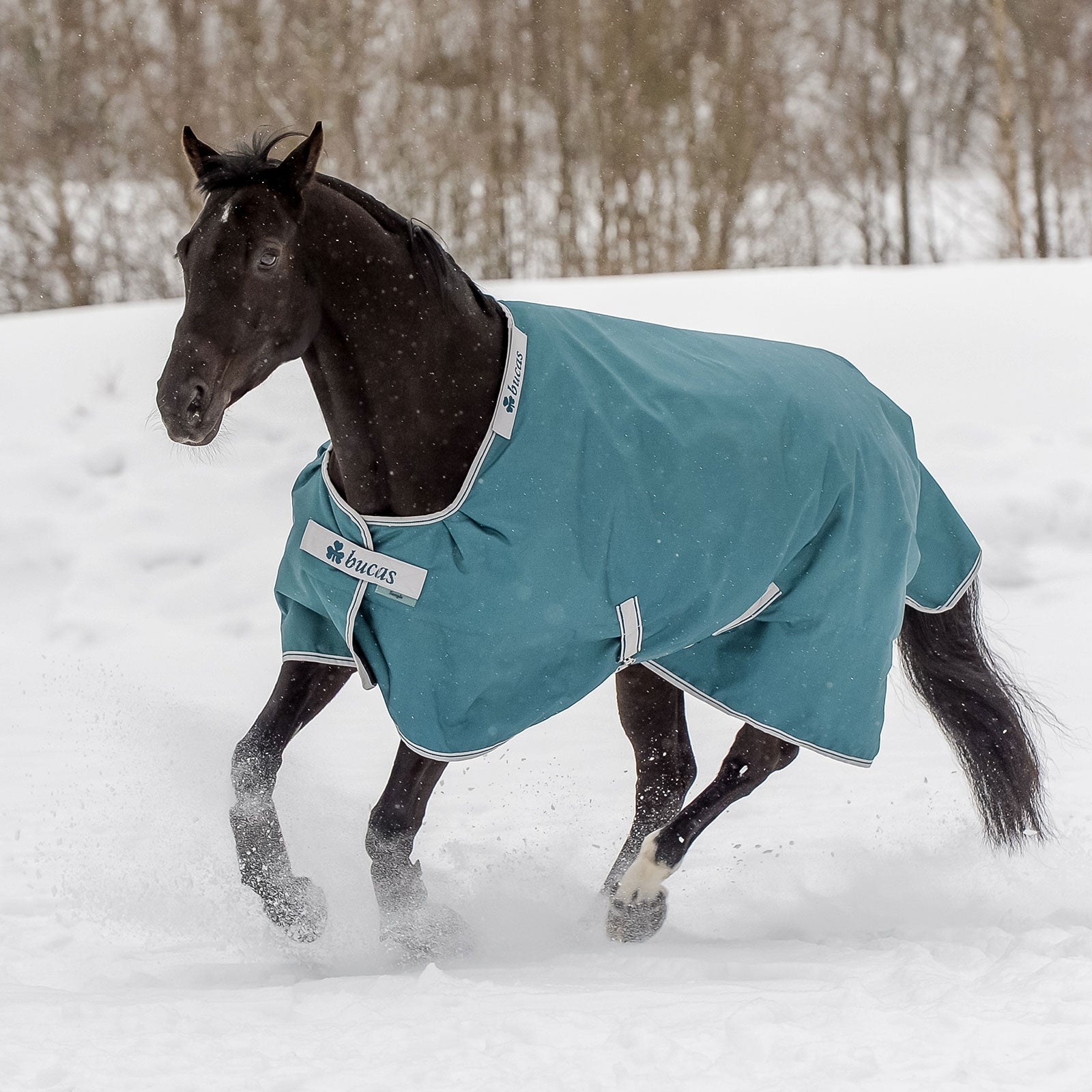 Bucas Couverture d'extérieur Atlantic 400 g Couvertures cheval