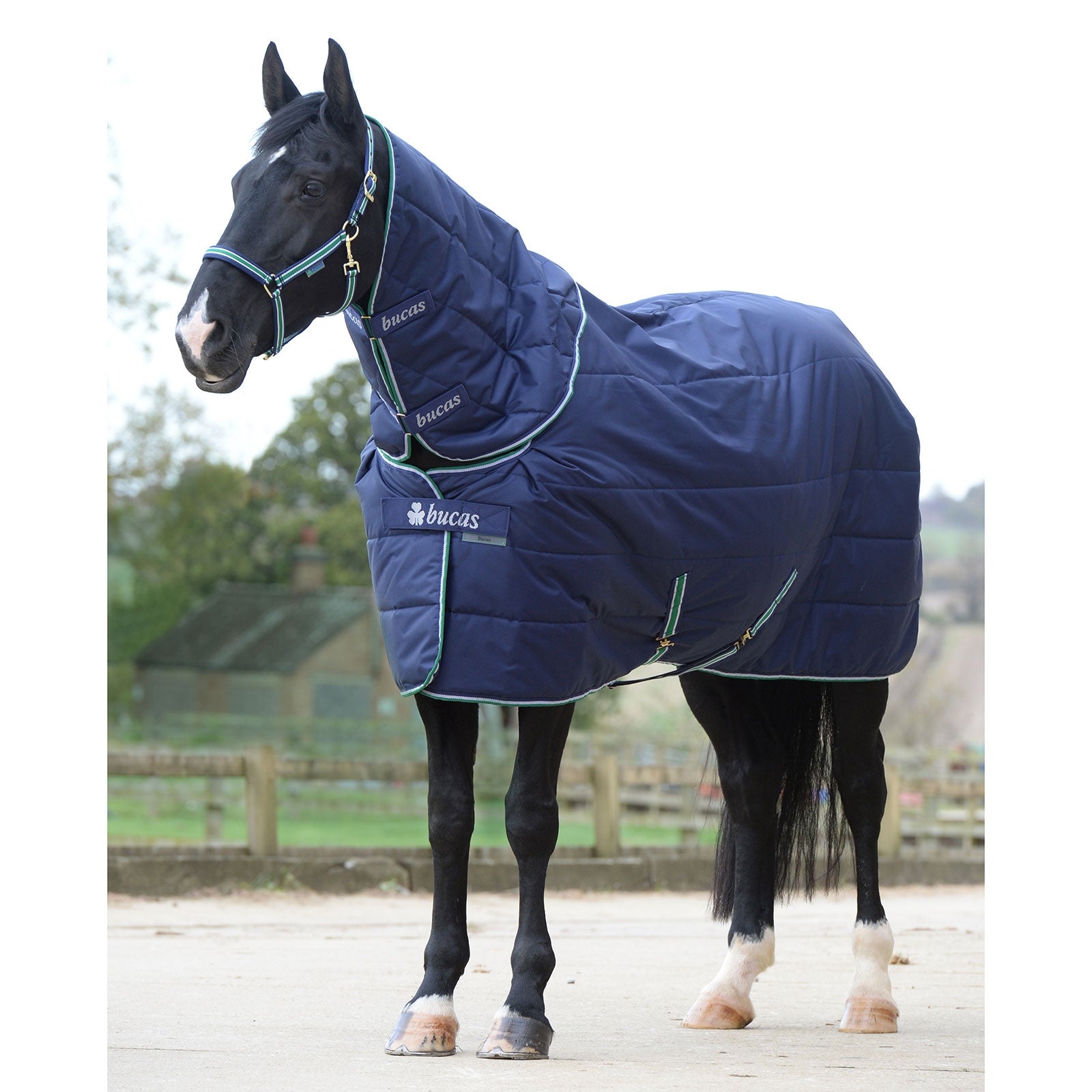 Bucas Couverture Quilt 150 g SF Encolure large Couvertures cheval