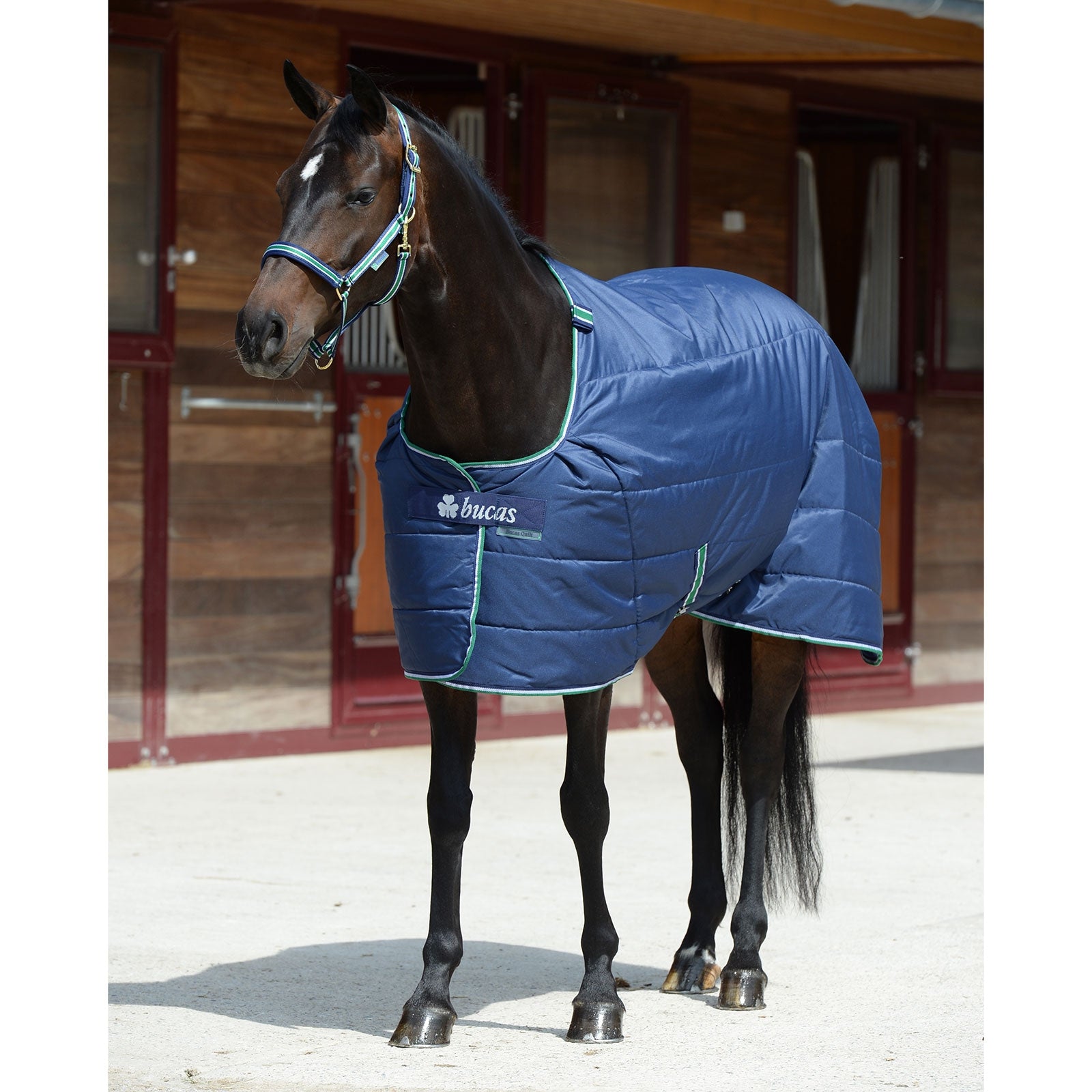 Bucas Couverture Quilt 300 g SD Couvertures cheval