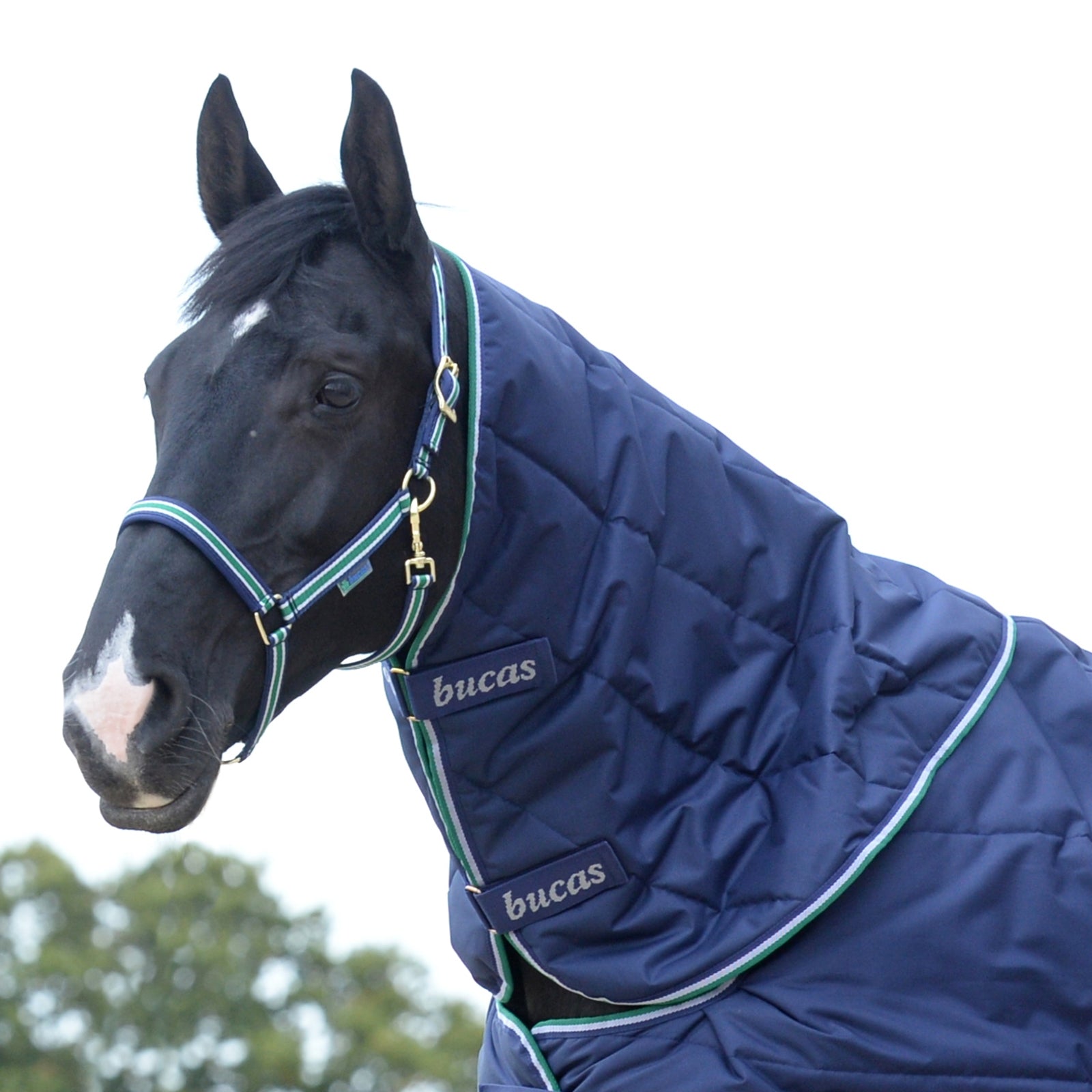 Bucas Couvre-encolure Quilt Couvertures cheval