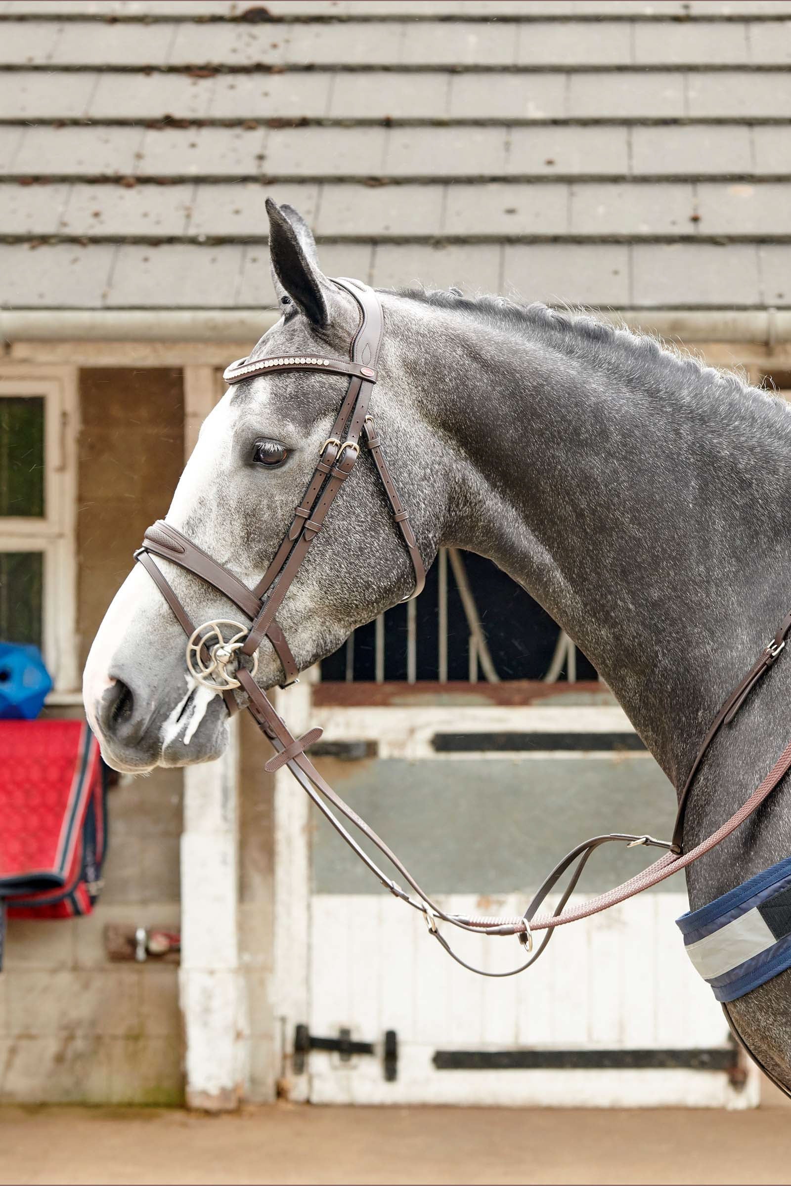 John Whitaker Chicago Perforated Bling Bridle Bridles & Reins