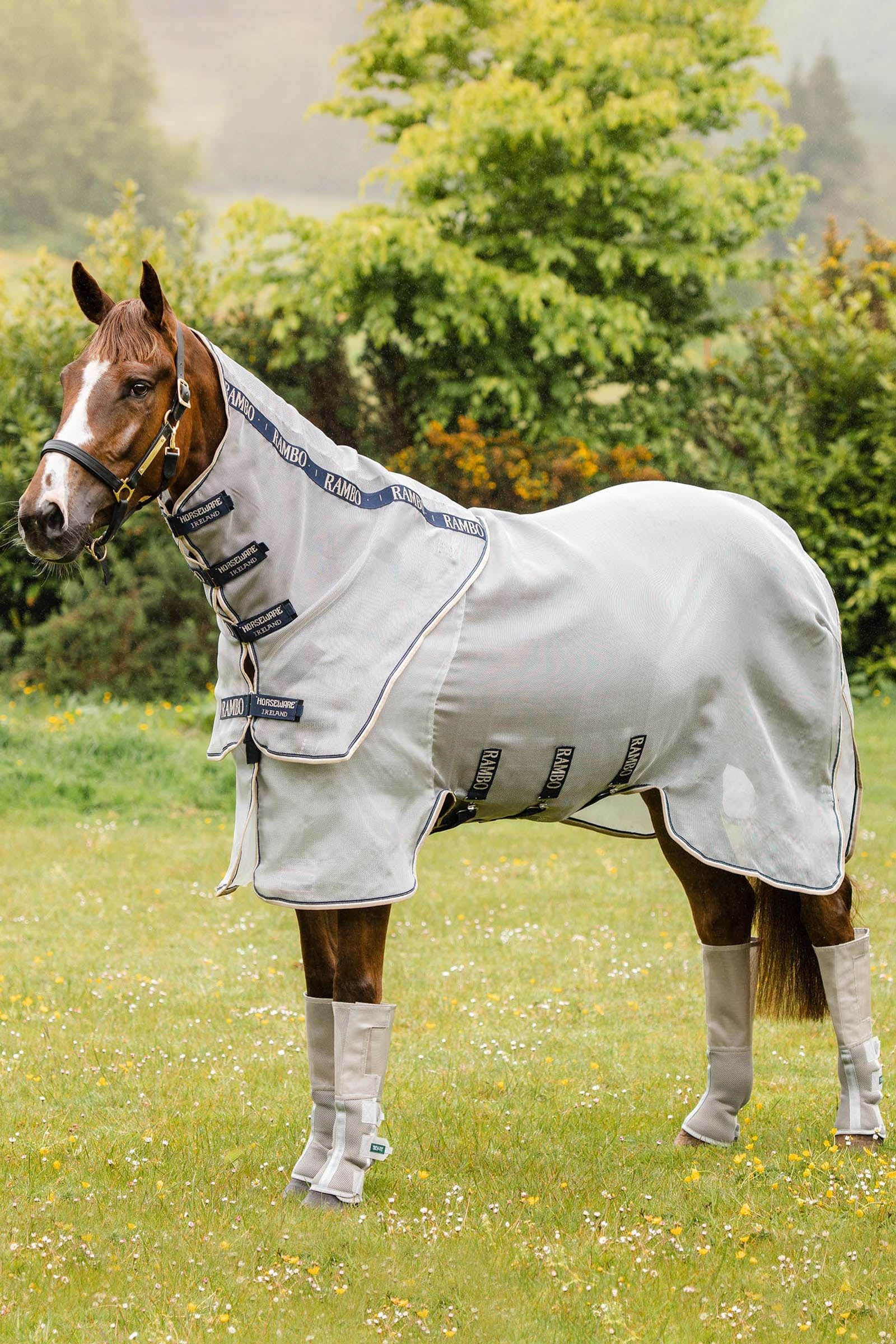 Centre équestre en Irlande : optez pour une balade à cheval Centre équestre en Irlande : optez pour une balade à cheval