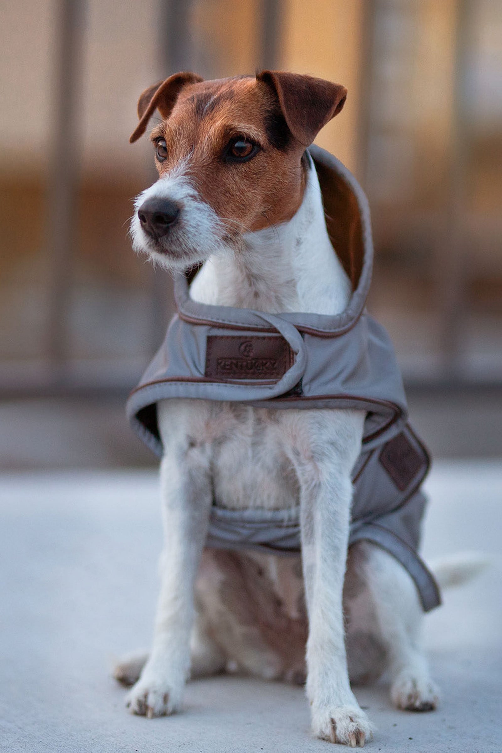 Kentucky Dogwear Manteau pour chien réfléchissant et déperlant Chiens