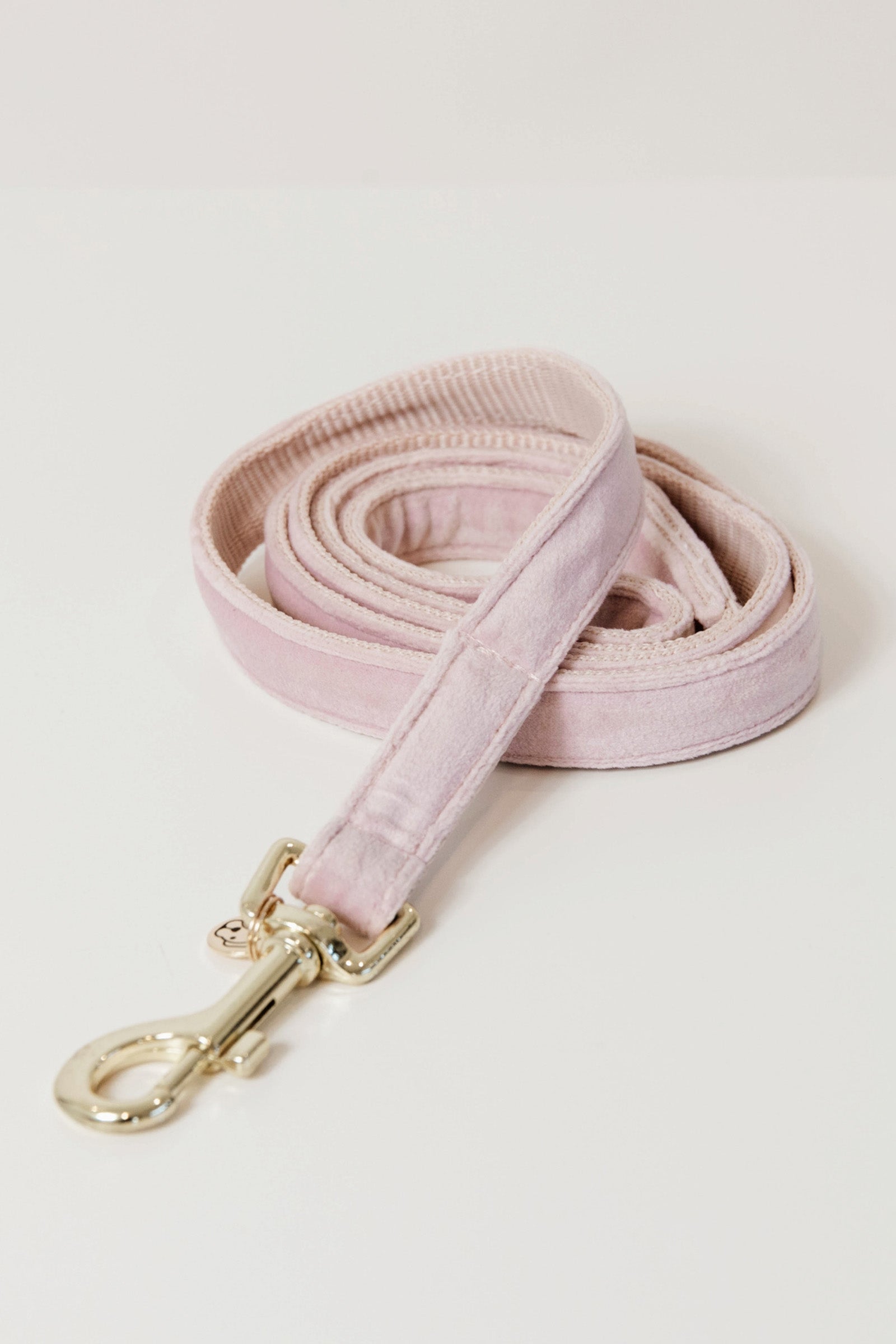 Kentucky Dogwear Dog Lead Velvet Chiens