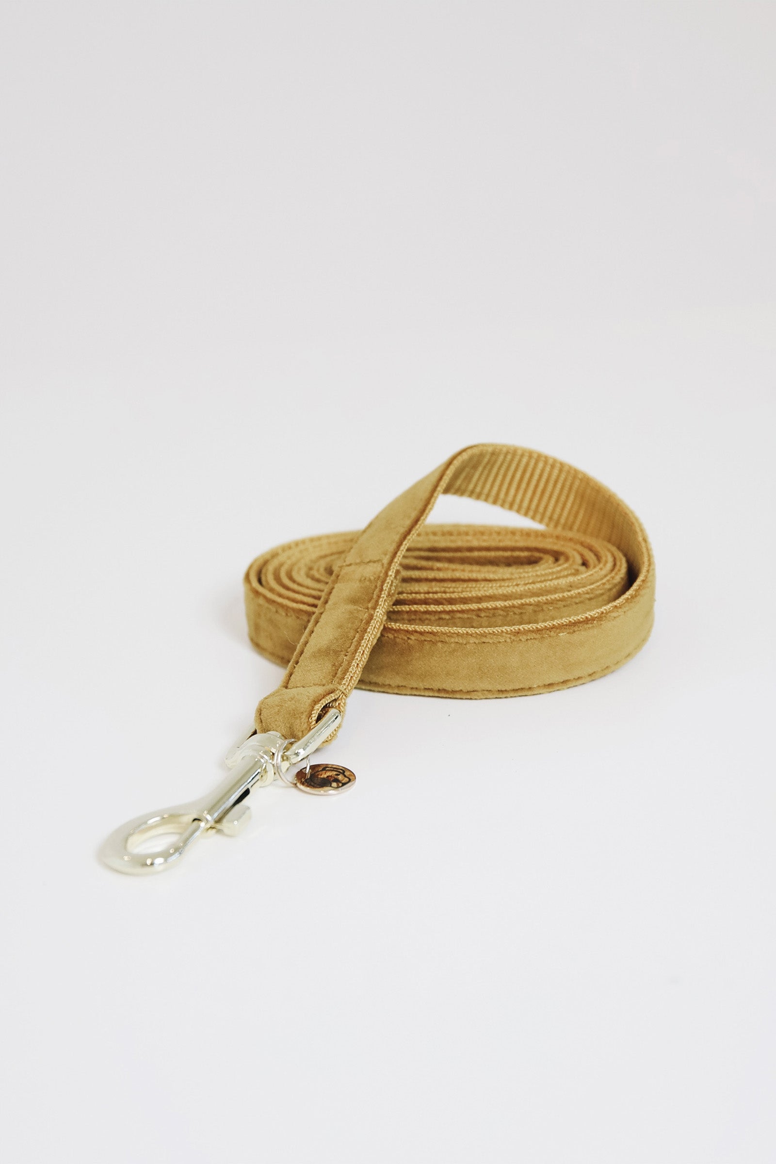 Kentucky Dogwear Dog Lead Velvet Chiens