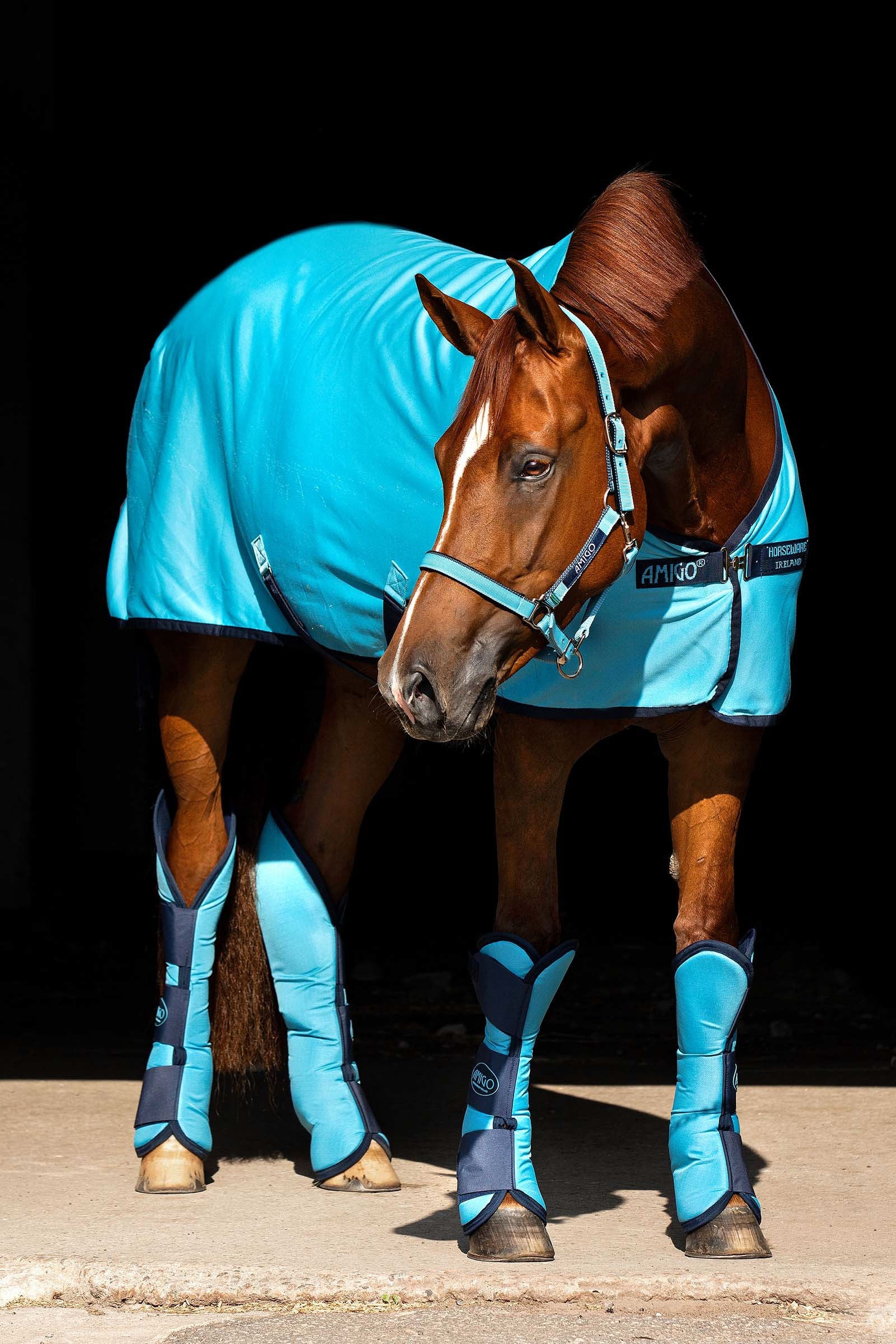Horseware Amigo Ripstop Travel Boots, Set of 4 Leg Protection & Hoof Protection for Horses