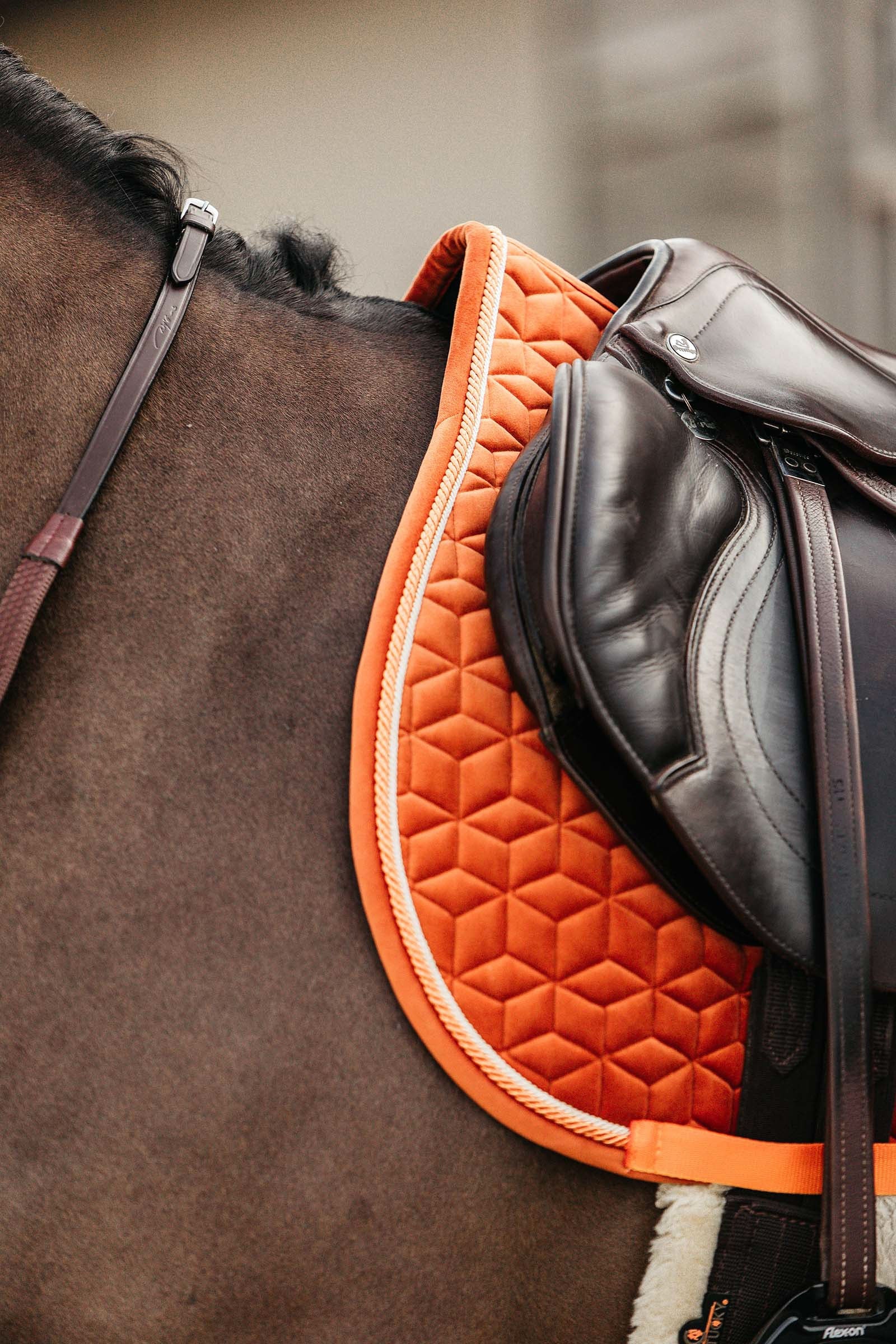 Kentucky Horsewear Velvet Jumping Saddle Pad Saddle Pads