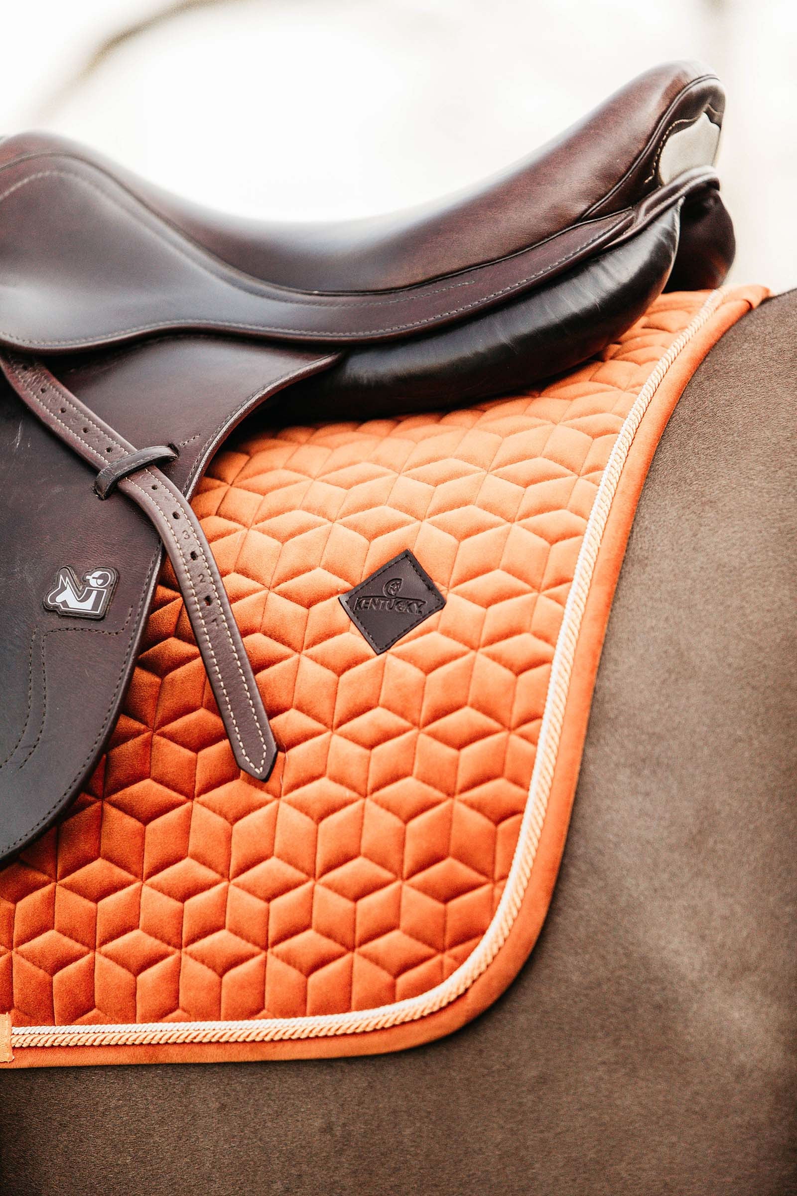 Kentucky Horsewear Velvet Jumping Saddle Pad Saddle Pads