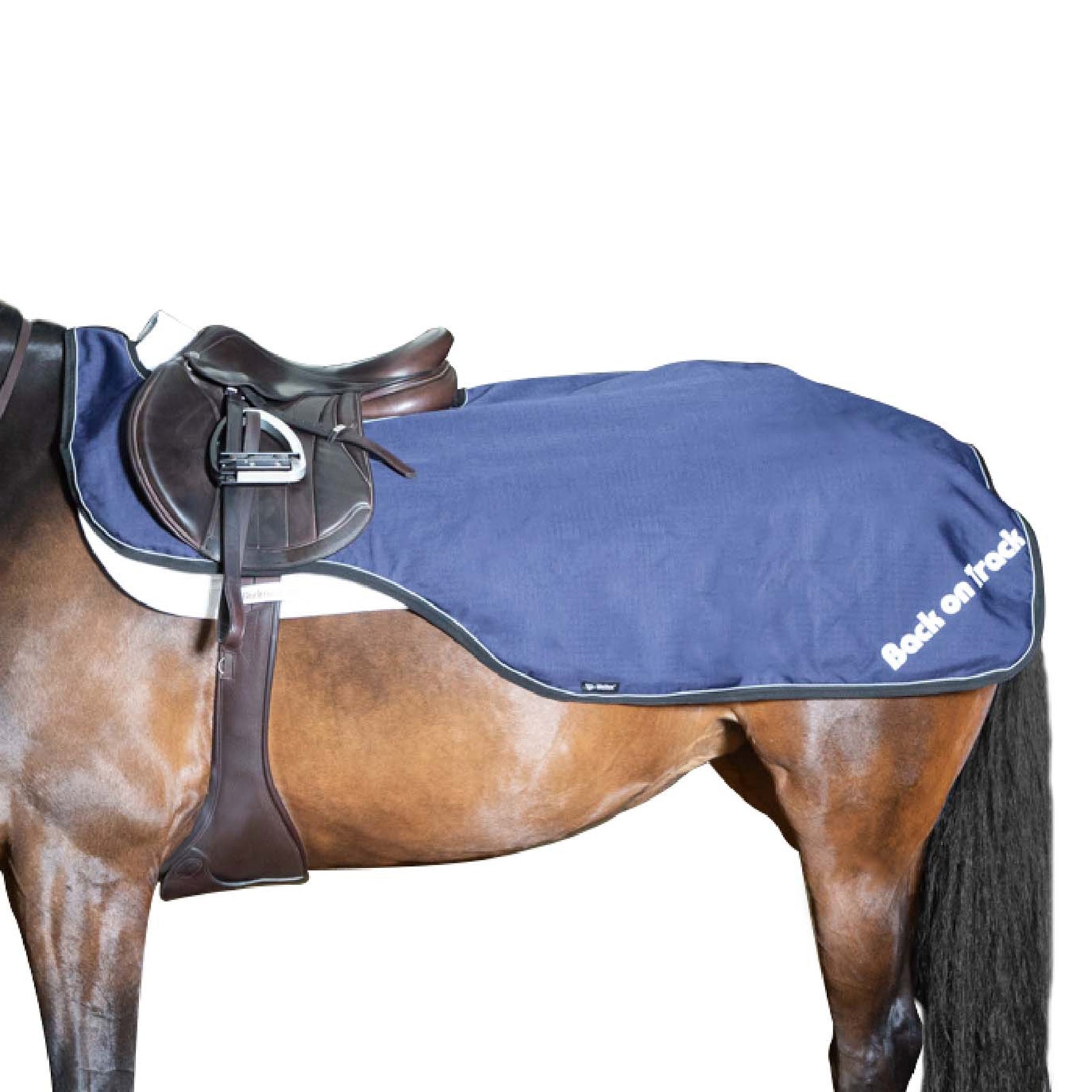 Back on Track Couvre Rein Imperméable Sammy, 50g Couvertures cheval