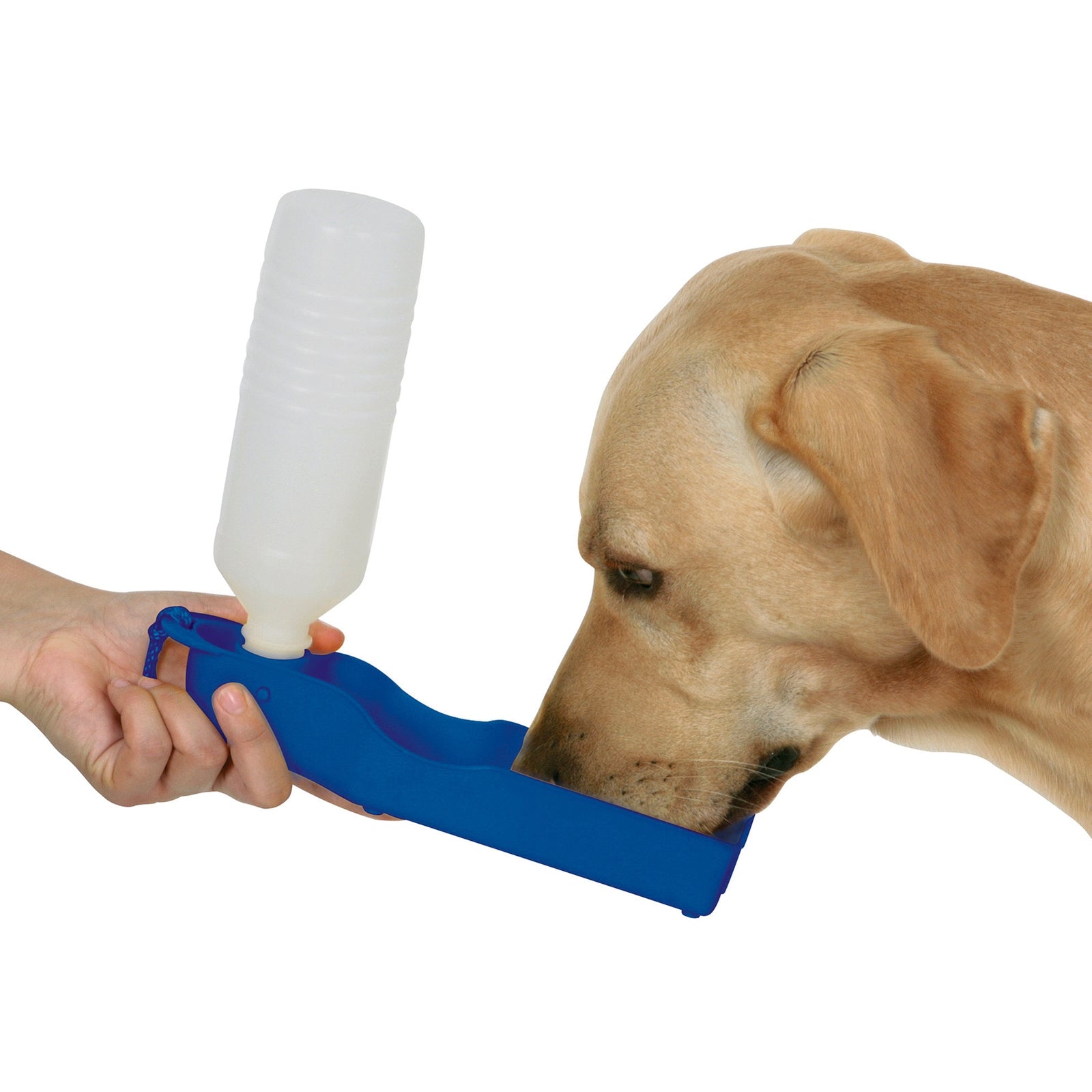 Kerbl Mobile Water Bowl 500ml Dog Accesories