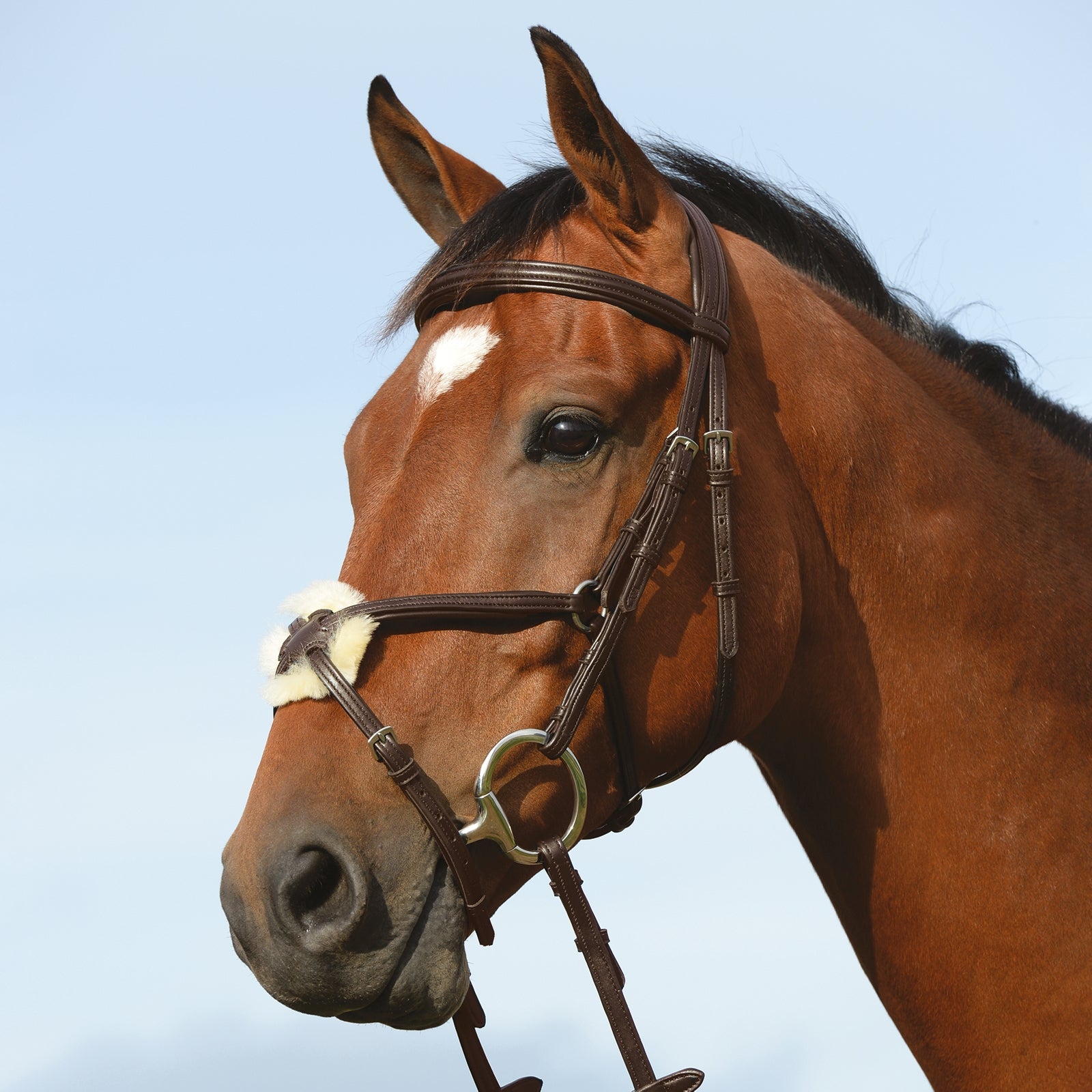 Collegiate Syntovia+ Padded Raised Figure 8 Bridle Bridles & Reins