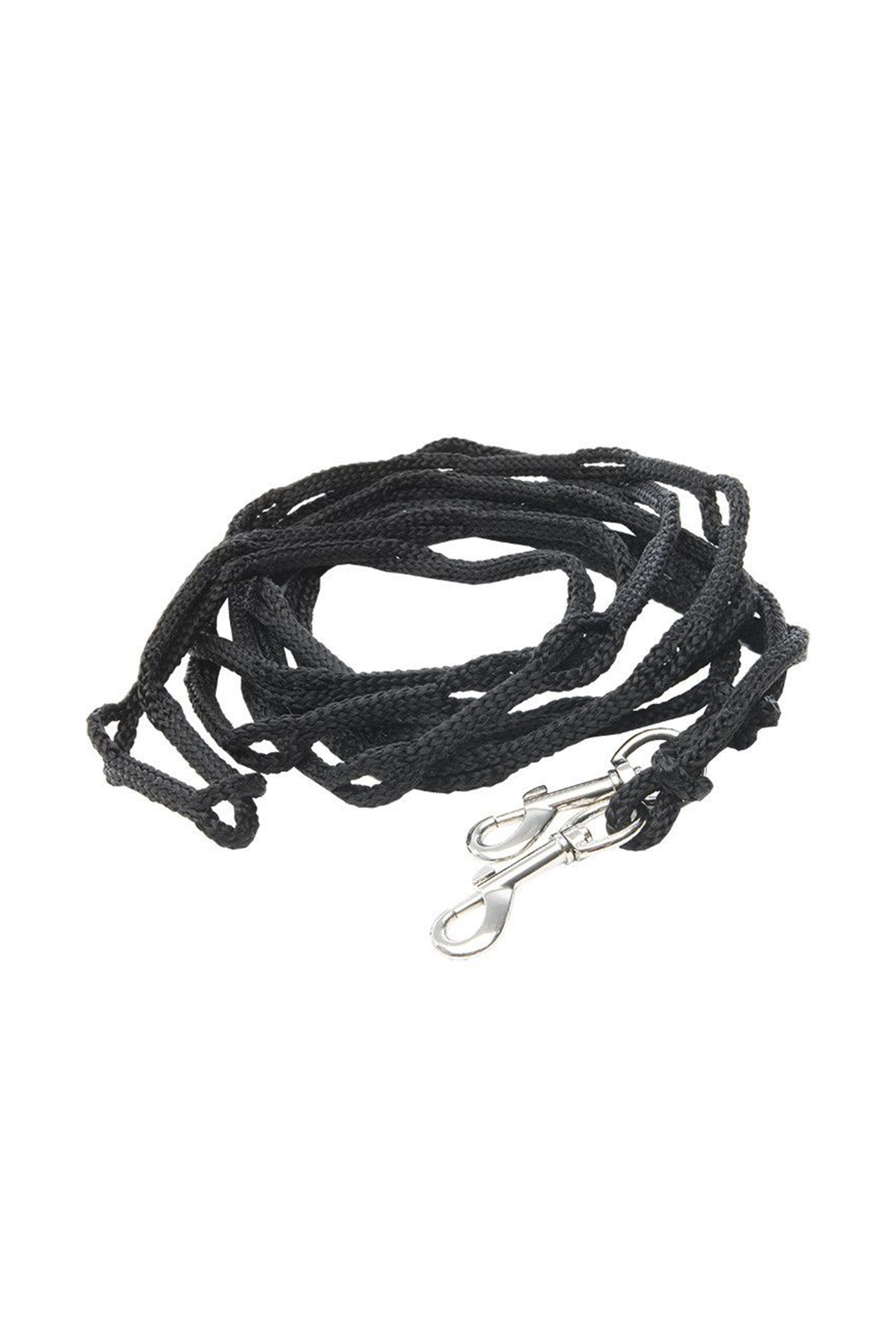 Kavalkade Rênes à longer Travail à pied