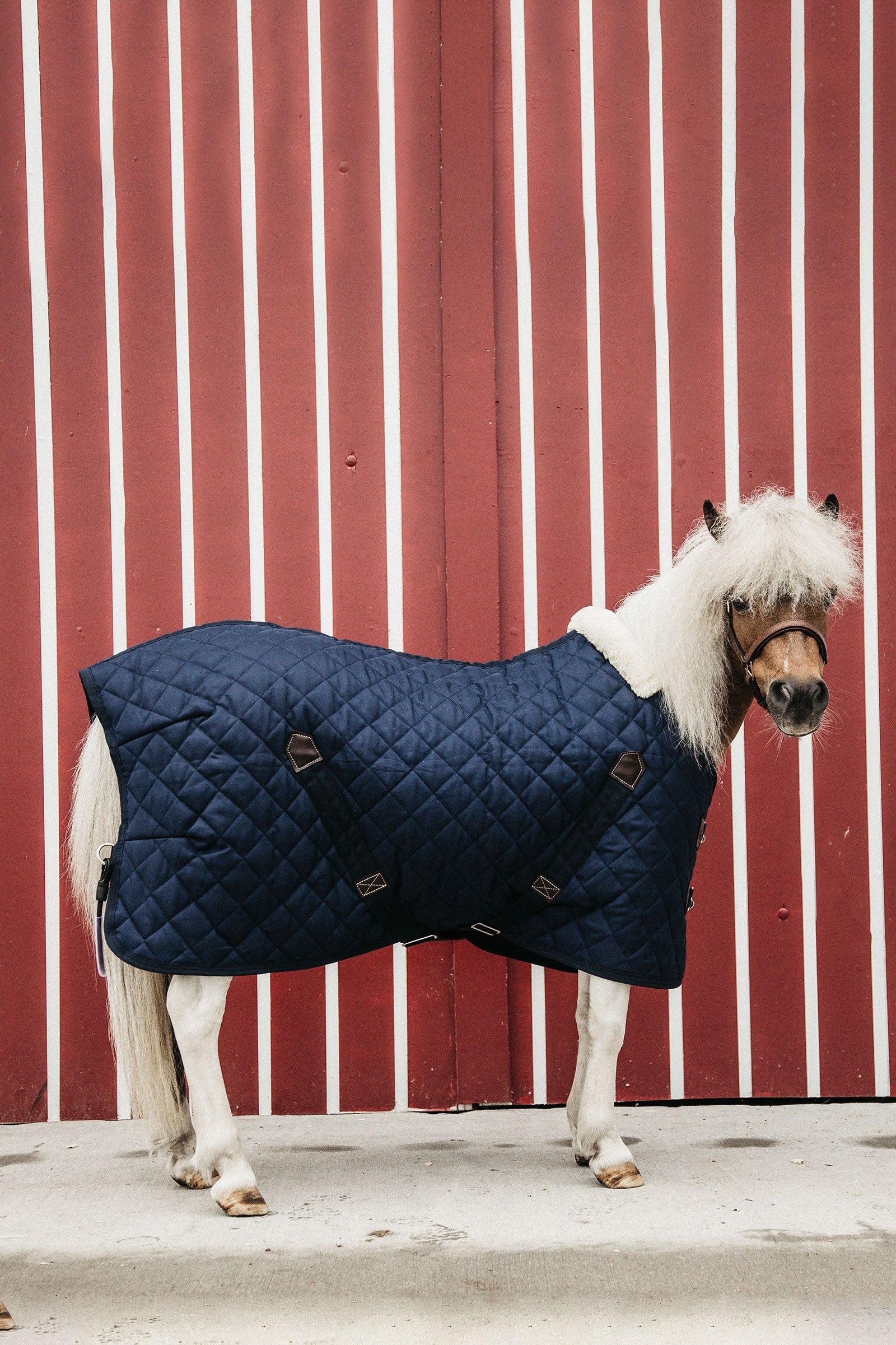 Kentucky Horsewear Couverture d’écurie 400g Couvertures cheval
