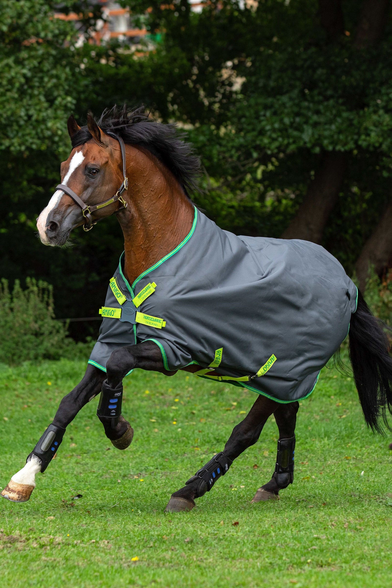 Horseware Couverture d'extérieur Amigo Hero 900 Lite Légère Disque, 0 g Couvertures cheval