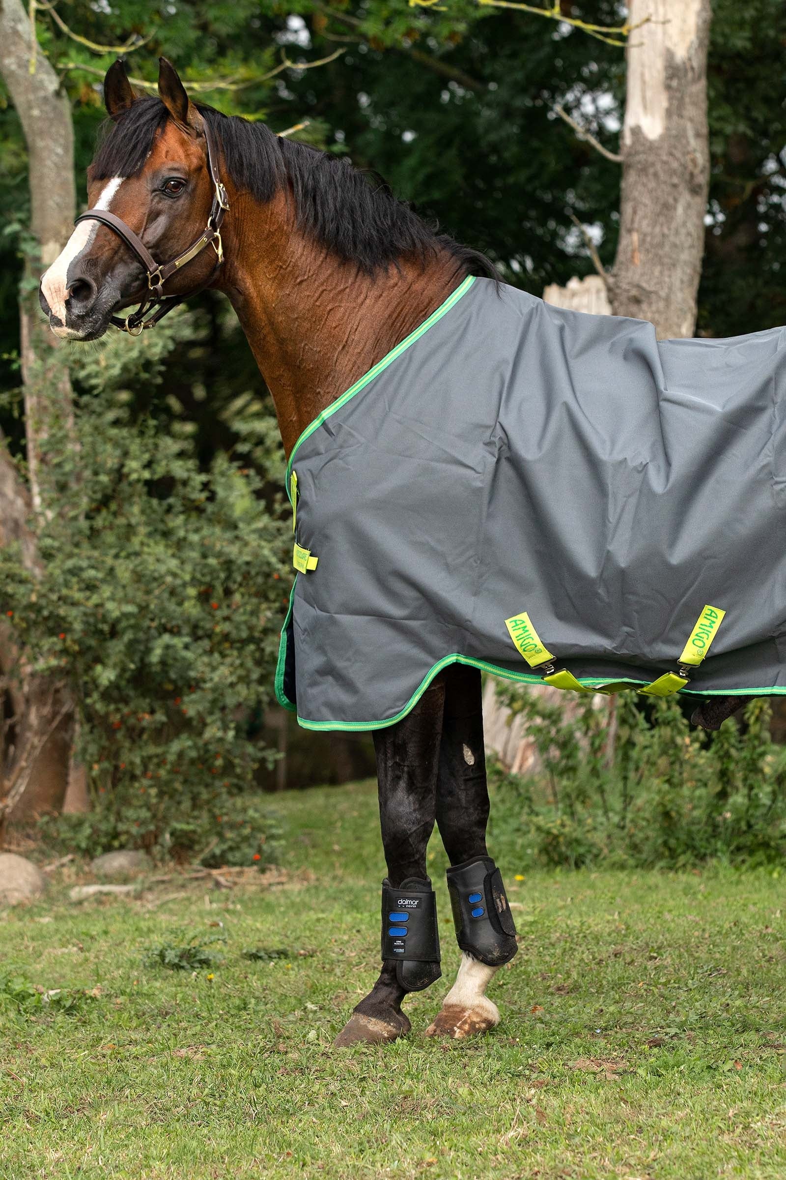 Icône de saut de cheval dans un style solide | Vecteur Premium Icône de saut de cheval dans un style solide | Vecteur Premium