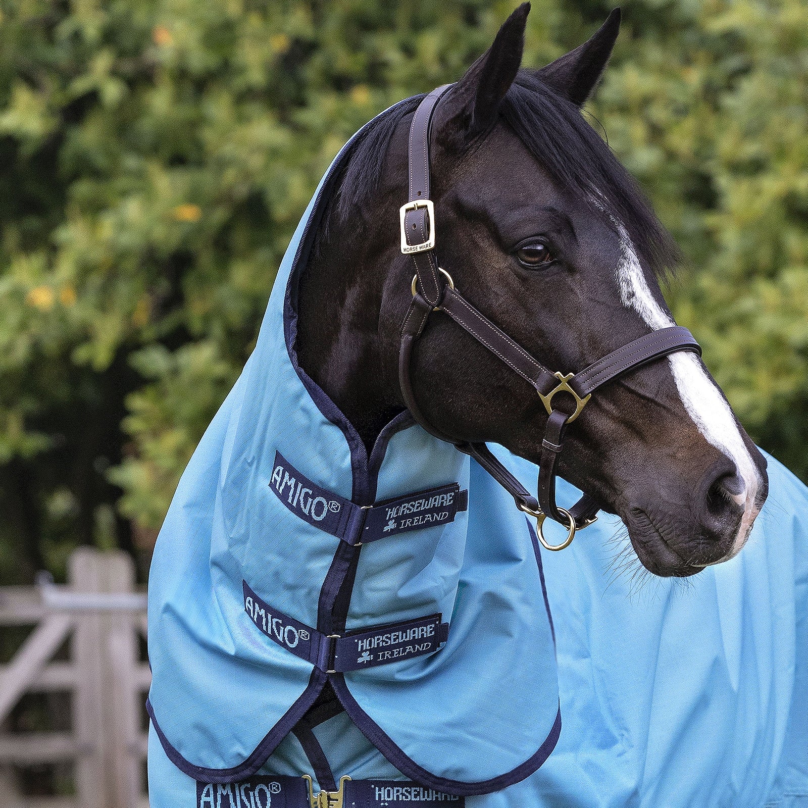 Horseware Couvre-encolure Amigo Hero Ripstop antidéchirure, 0 g Couvertures cheval