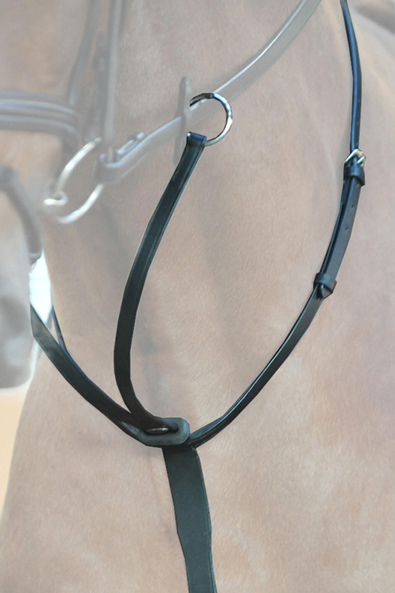 Shires Aviemore Martingale De Course Noir Petit Poney Shires Aviemore Martingale De Course Noir Petit Poney