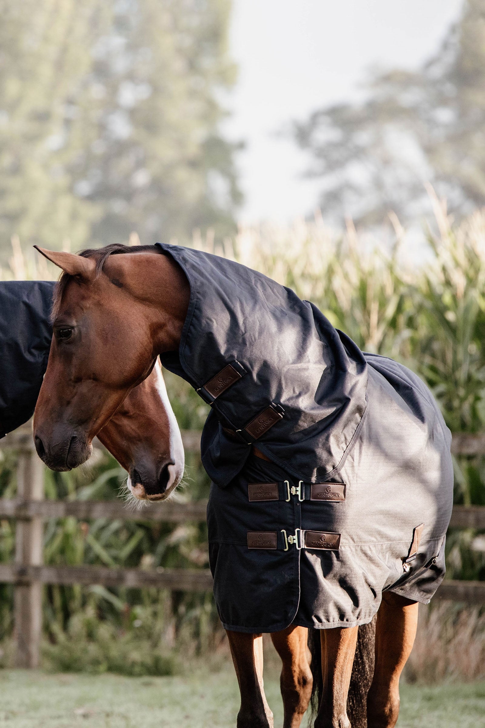 Kentucky Horsewear Turnout Rug All Weather Waterproof Classic, 0g Couvertures cheval
