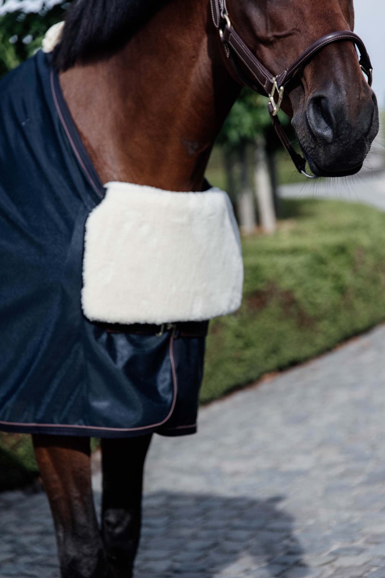 Kentucky Horsewear Horse Bib Protection Poitrail Couvertures cheval