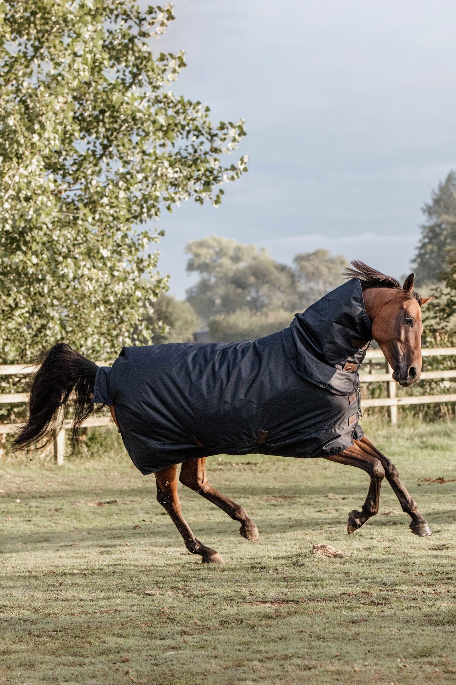 Kentucky Horsewear Couverture d'extérieur Tout Temps imperméable Classic, 150 g Couvertures cheval