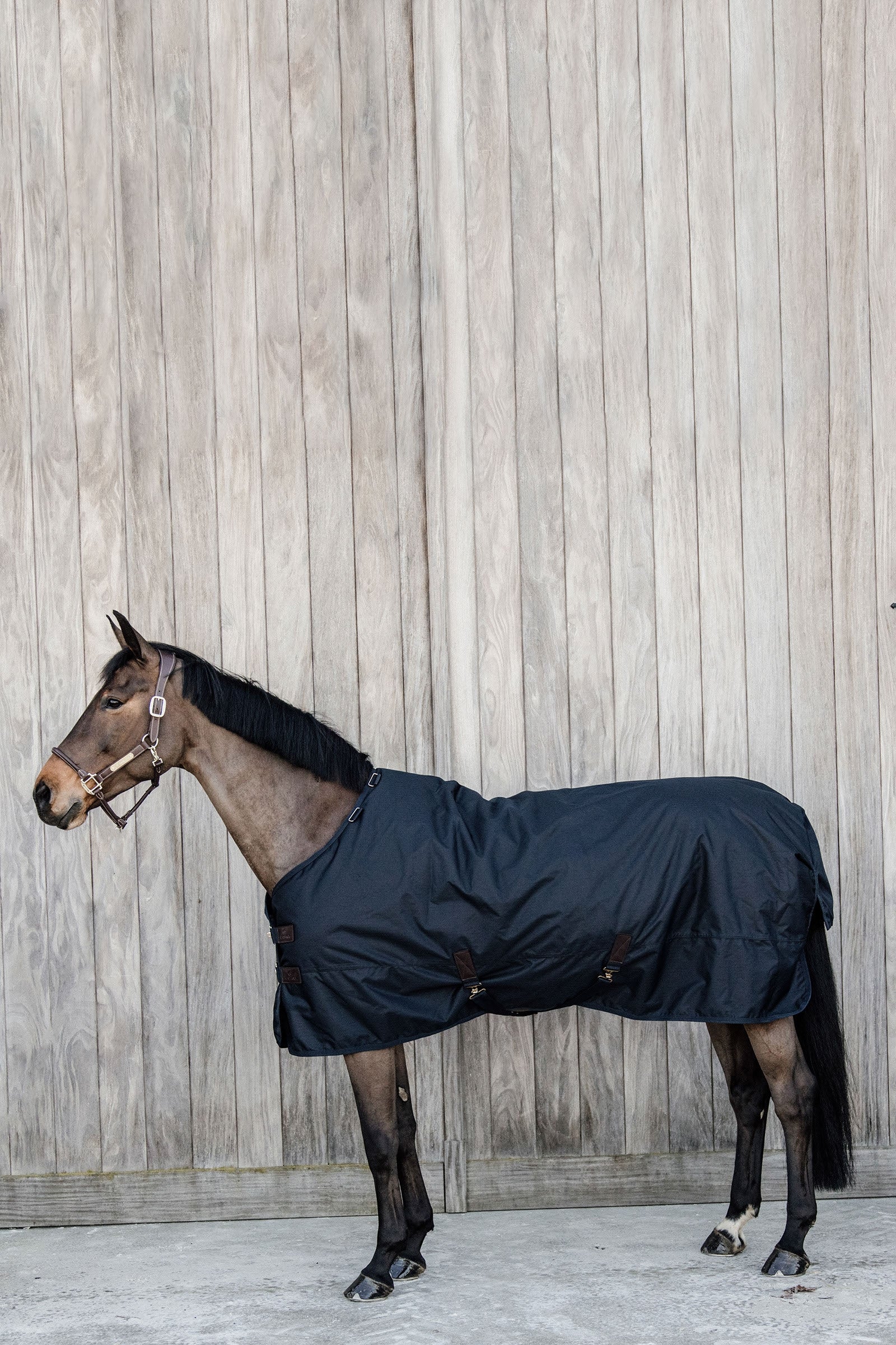 Kentucky Horsewear Turnout Rug All Weather Waterproof Classic, 150g Horse Rugs
