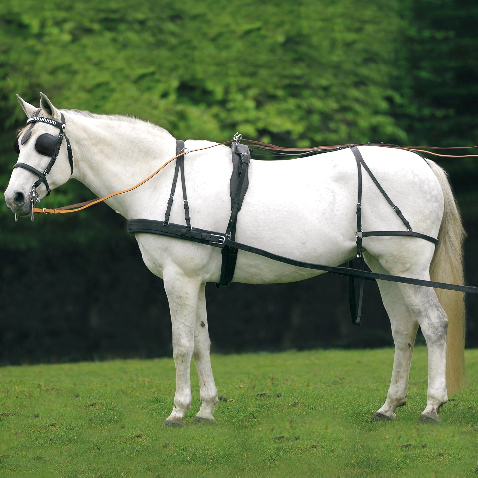 Waldhausen - Harnais simple économique Cob et Full Trot attelé