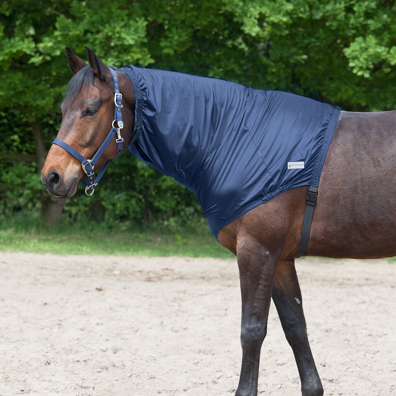 Waldhausen Couvre-encolure et garrot Eczéma Couvertures cheval