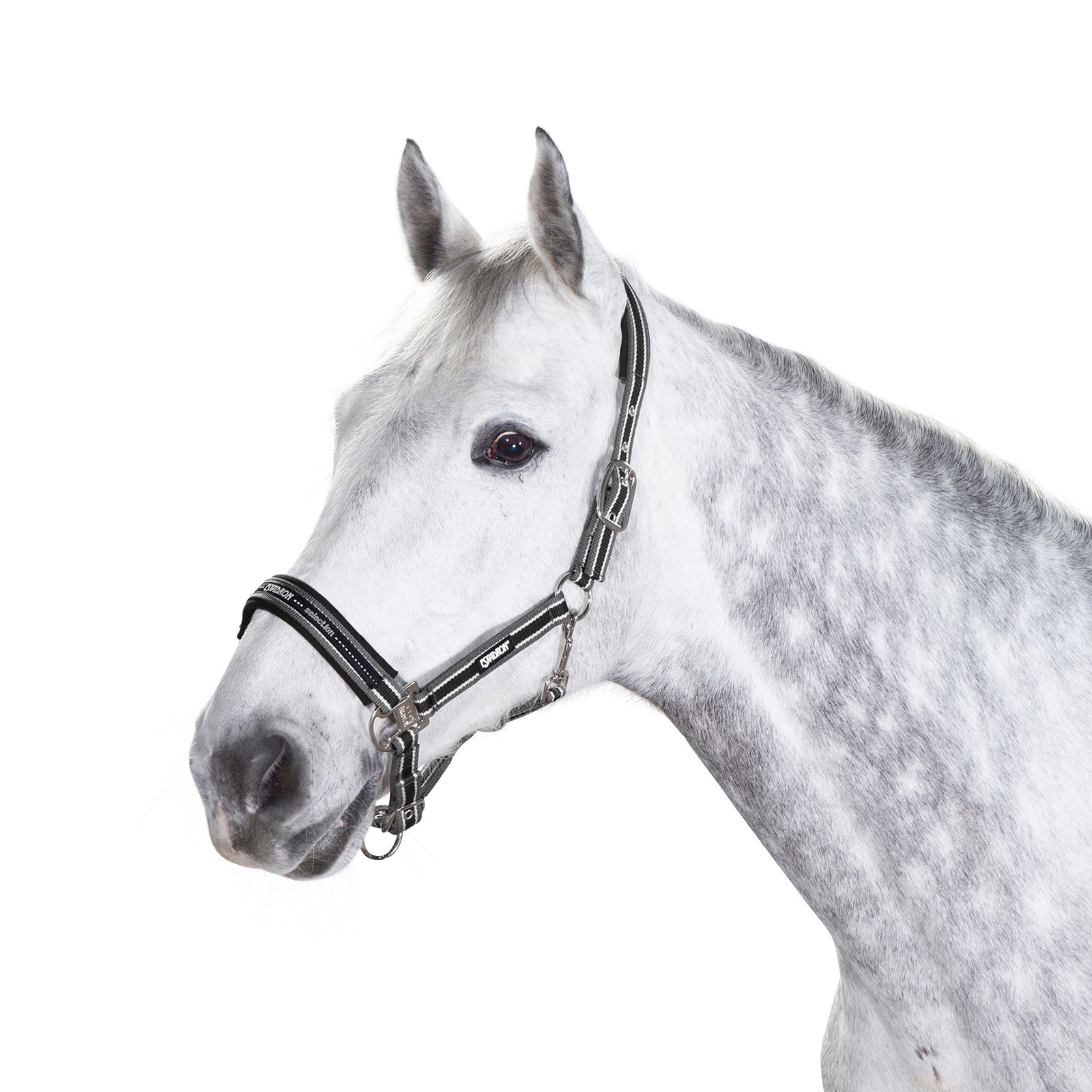 Eskadron Licol avec boucle à ardillon Licols & longes