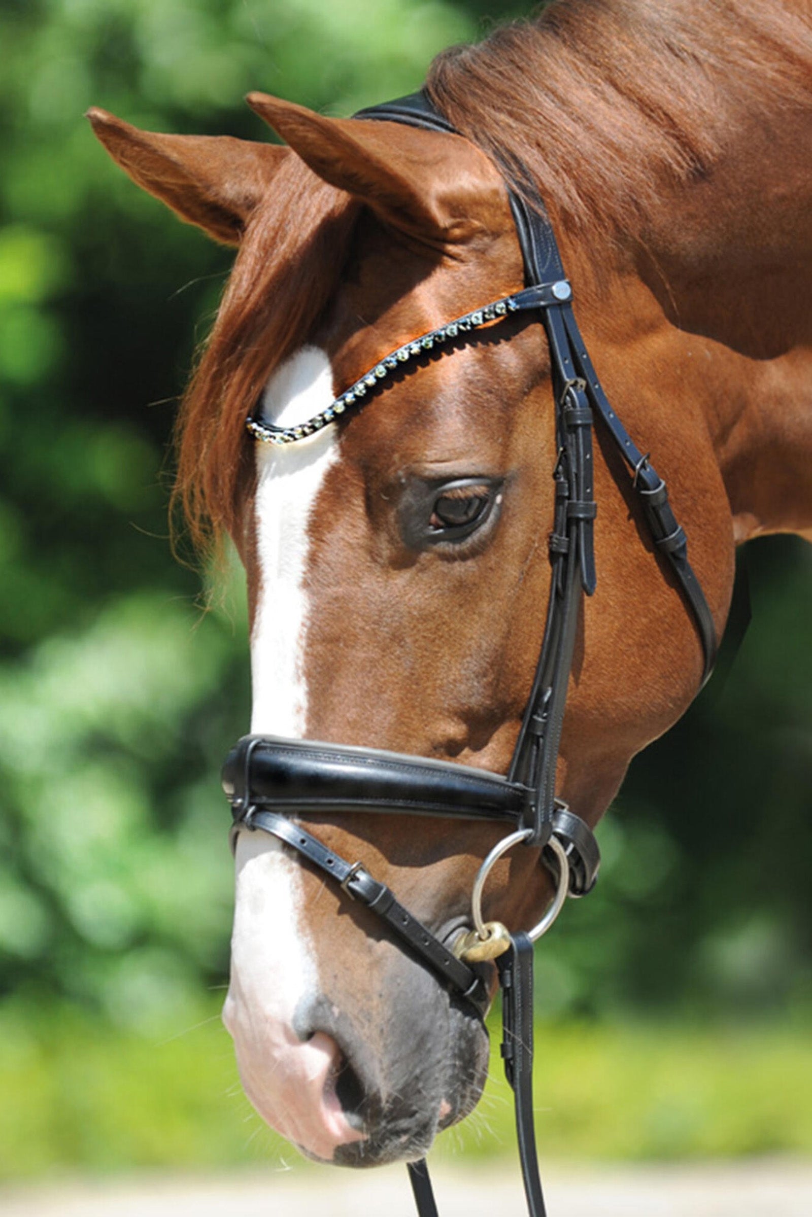 Kavalkade Grey Bridle Briderie et enrênements