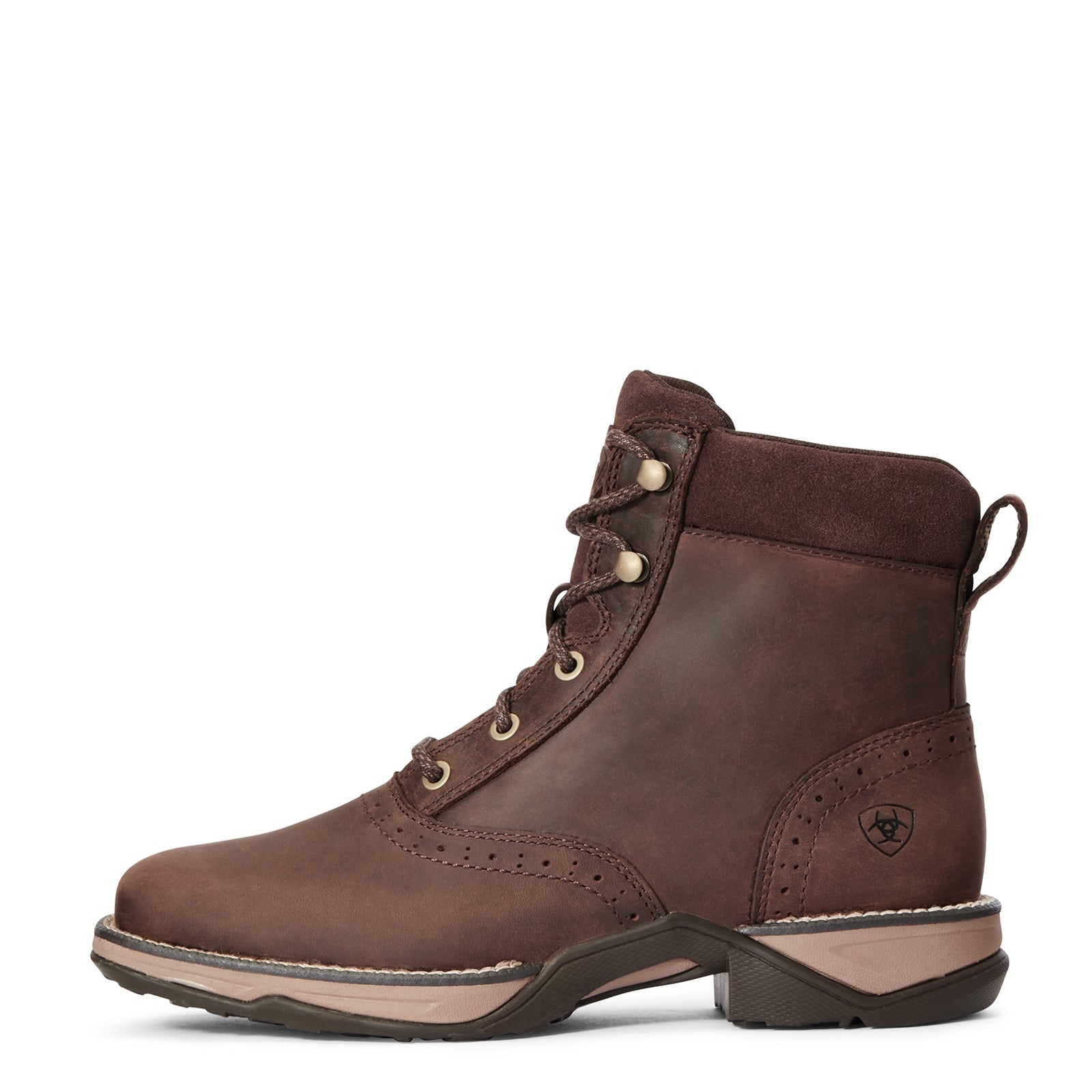 Ariat Anthem Lacer Women's Half Boots Riding Boots & Riding Shoes