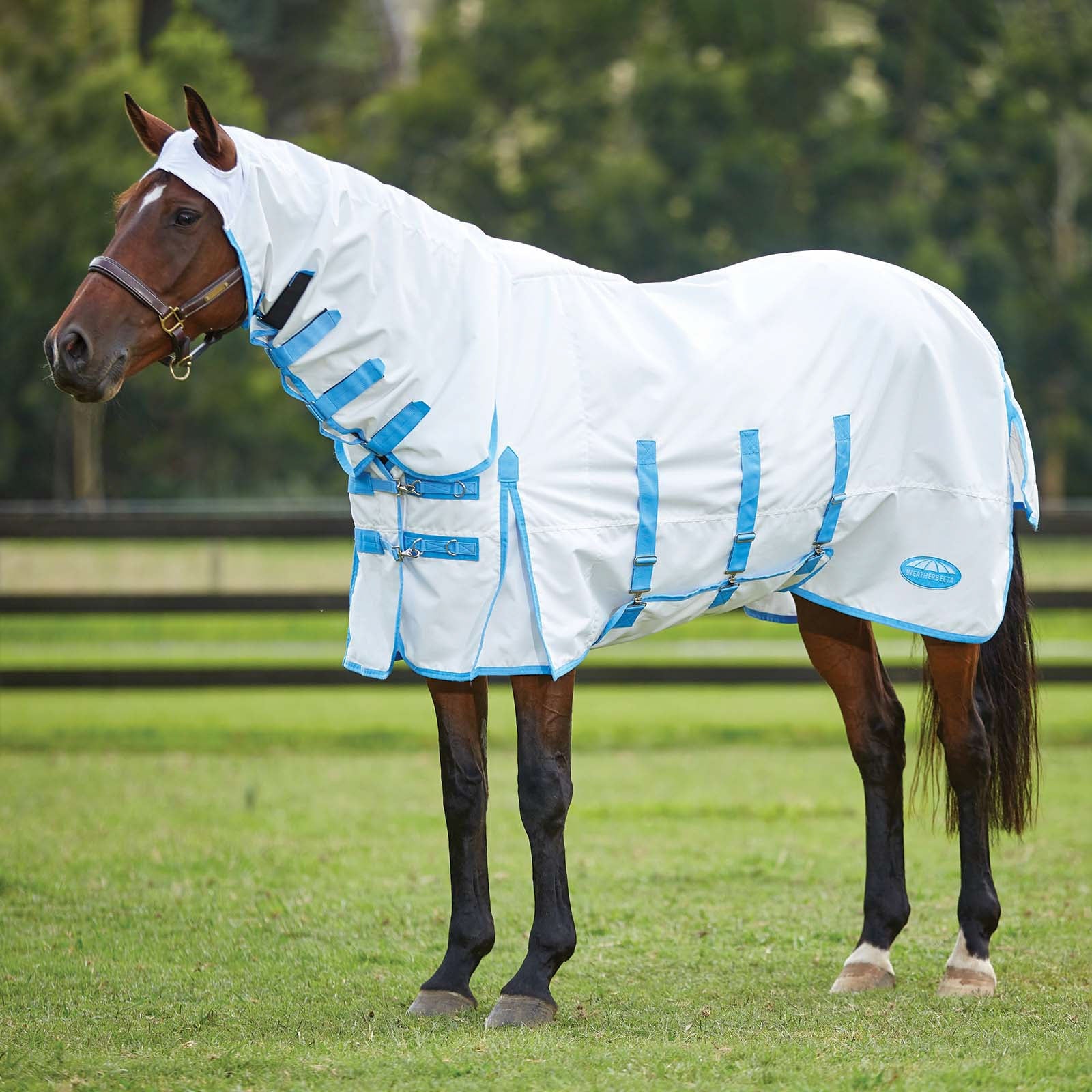 Weatherbeeta Comfitec couverture anti-démangeaisons avec encolure fixe Couvertures cheval