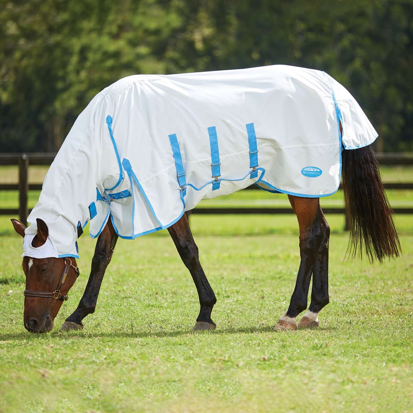 Weatherbeeta Comfitec Sweet Itch Shield Rug With Fixed Neck Horse Rugs