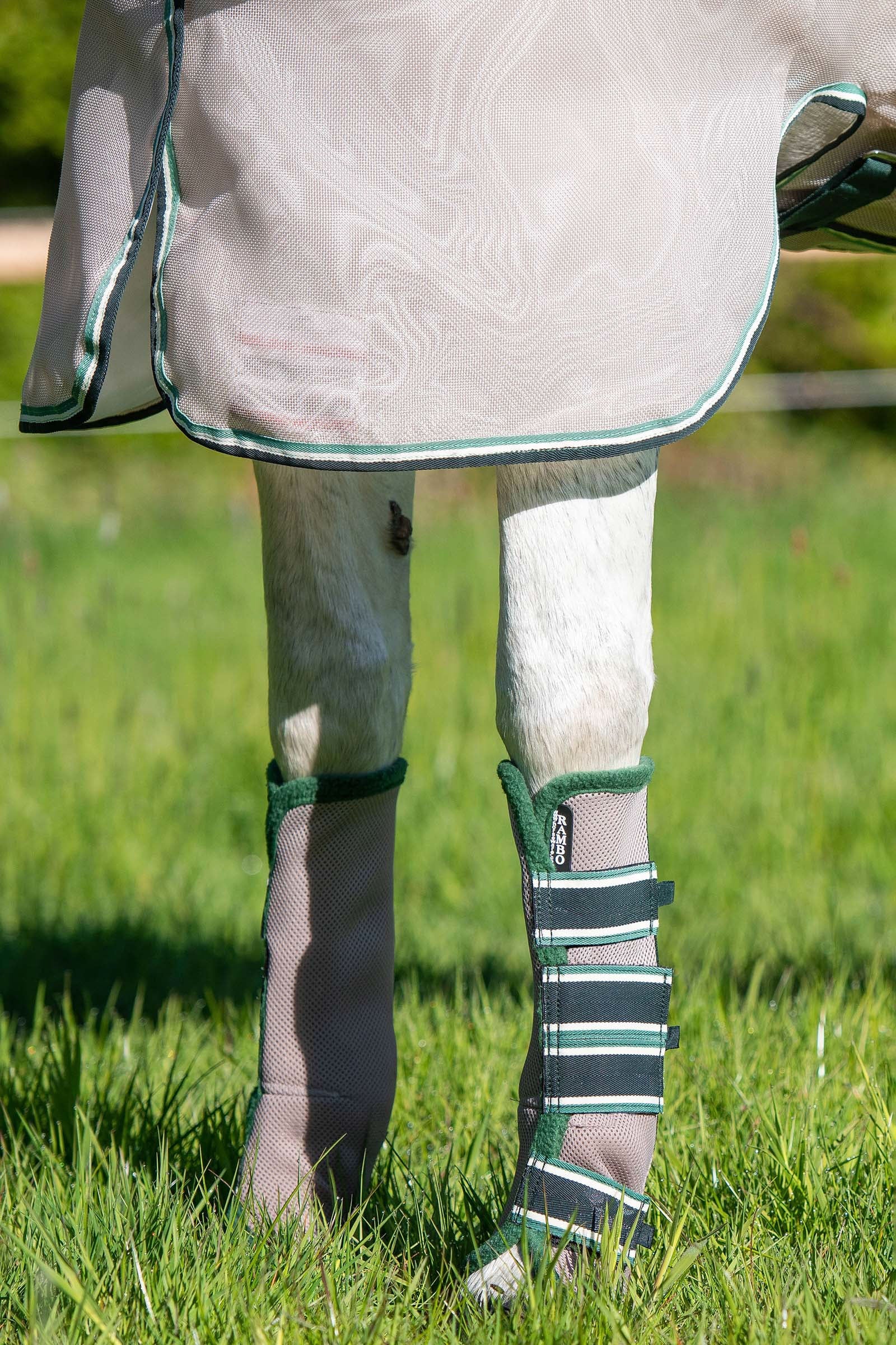 Horseware Guêtres de transport Rambo Airmesh Fly Anti-mouches cheval
