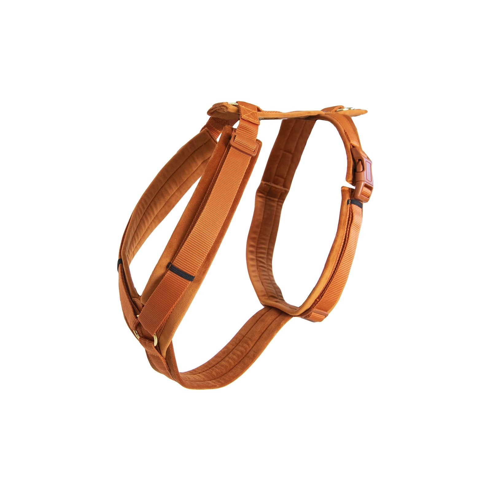 Kentucky Dogwear Harnais Active Velvet Chiens