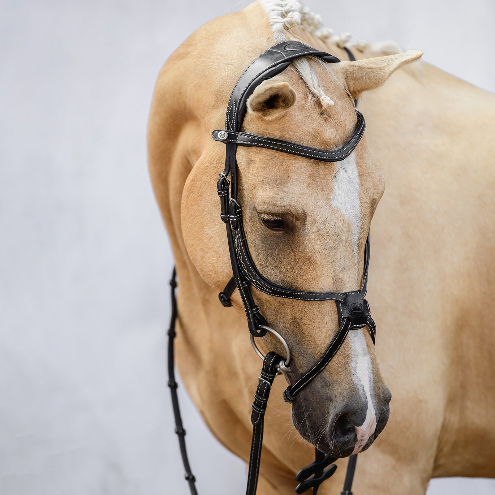 PS of Sweden Filet Mexicain PS de Suède Athènes Briderie et enrênements