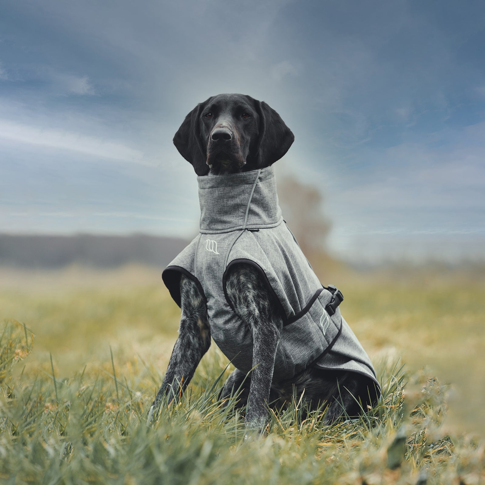 Back on Track Bark All-Round Dog Coat, 25-35cm Dog Accesories