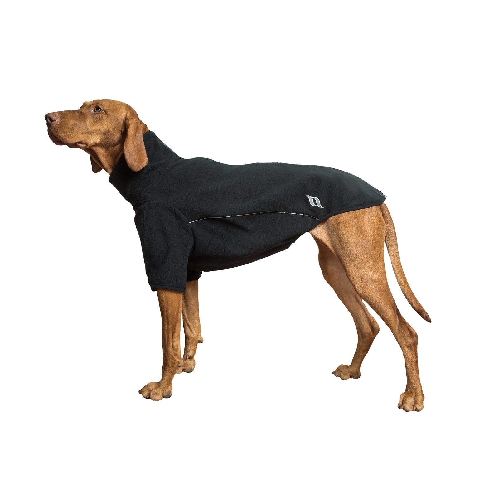 Back on Track Cassie All-Weather Jumper, 45-50cm Dog Accesories