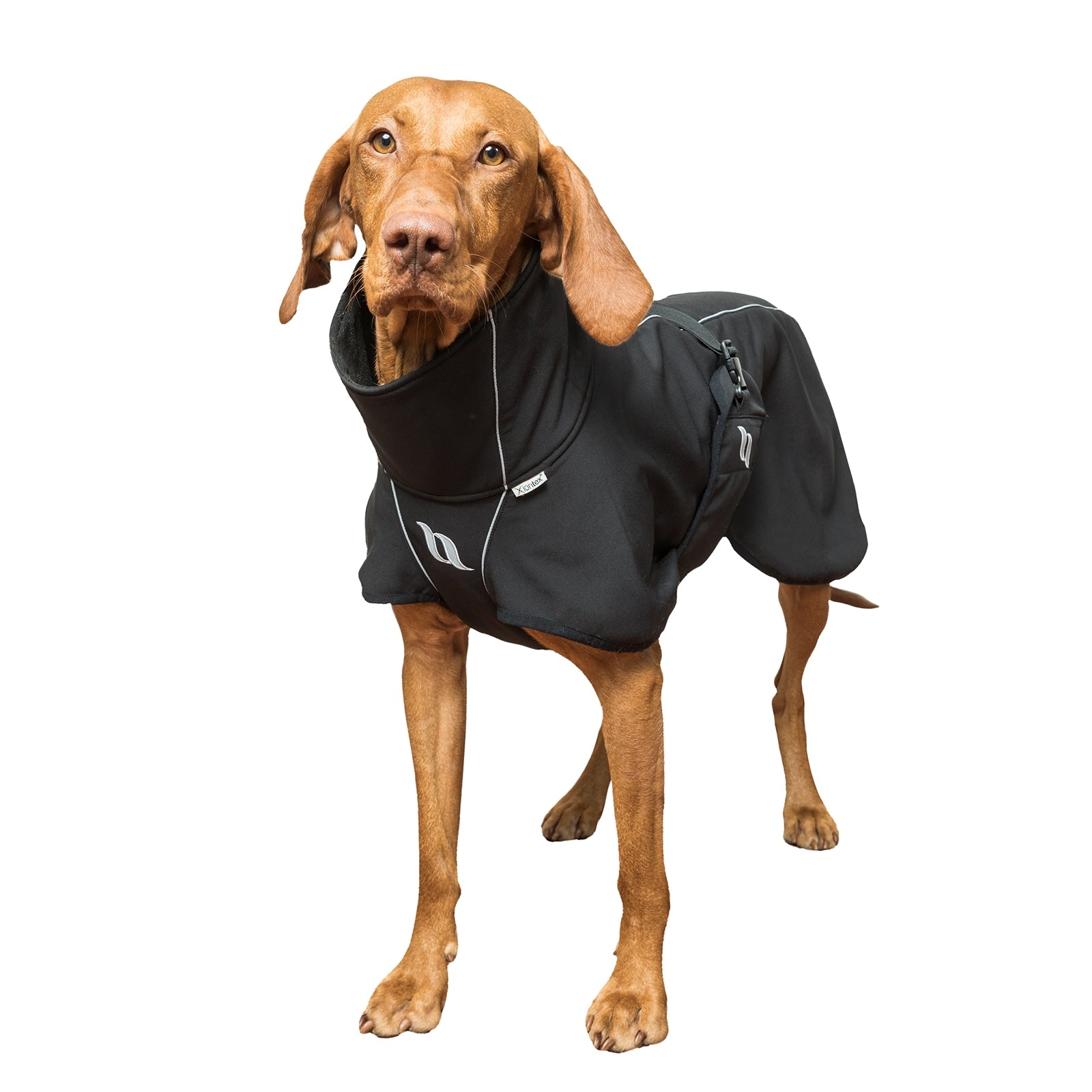 Back on Track Nella All-Round Dog Coat, 25-35cm Dog Accesories
