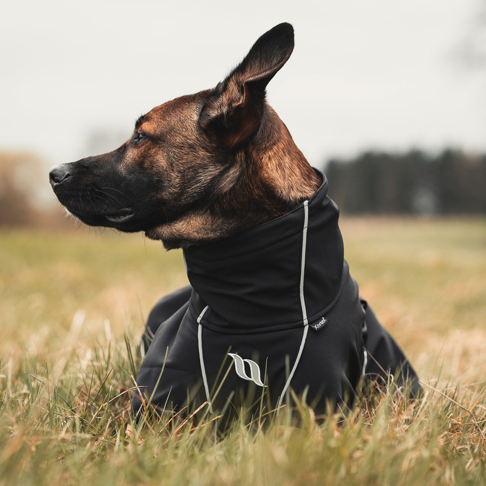 Back on Track Nella All-Round Dog Coat, 25-35cm Dog Accesories