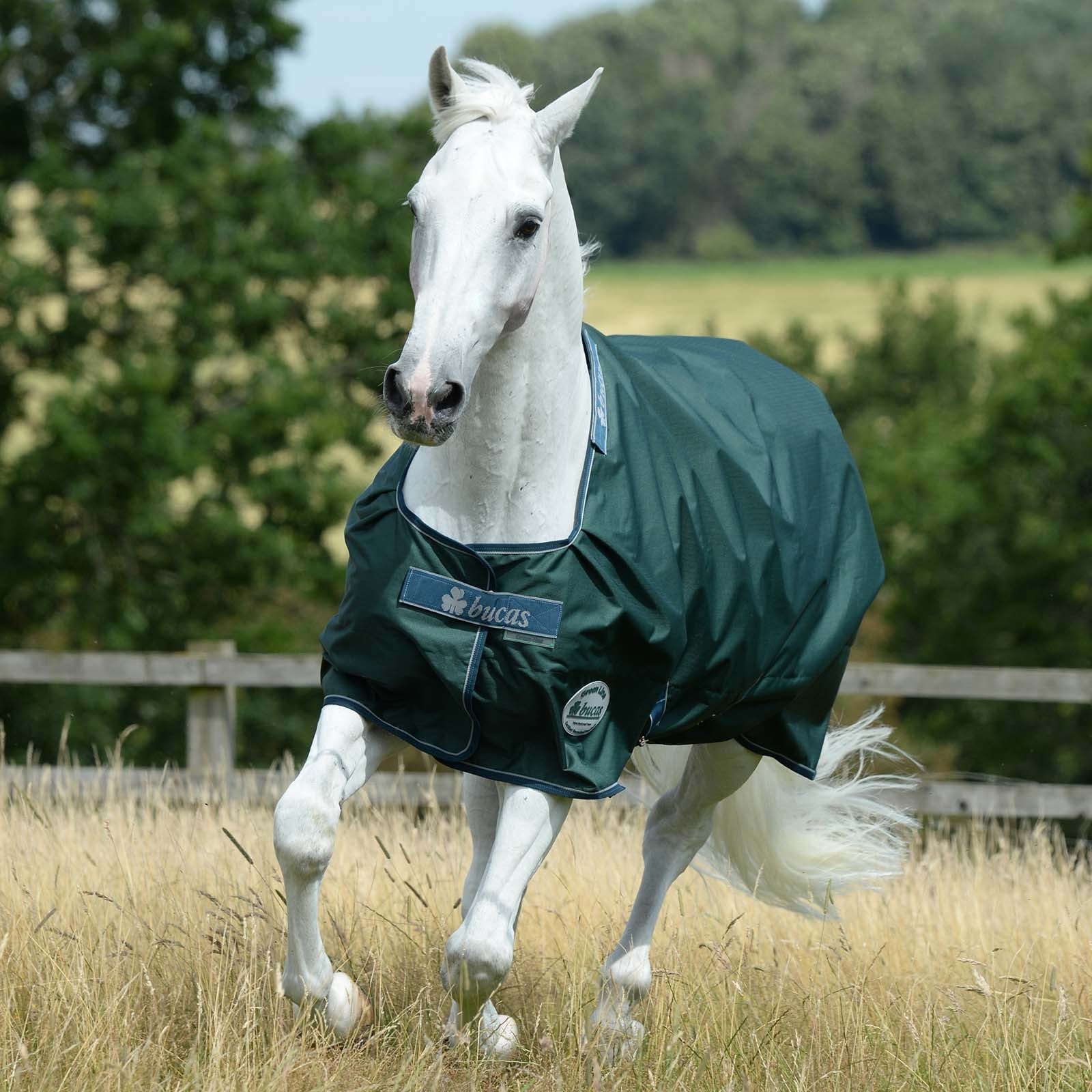 Bucas Couverture d'extérieur Green-Line Ligne Verte 300 g Couvertures cheval