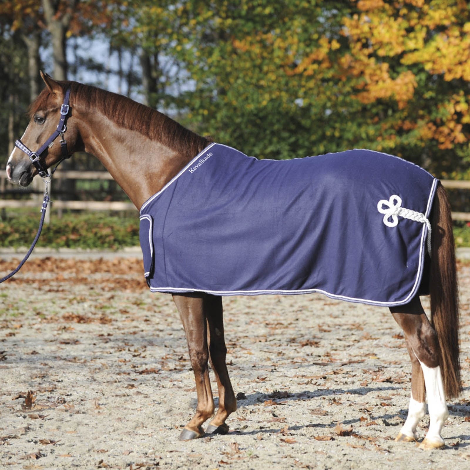 Kavalkade Couverture séchante avec plastron pectoral Couvertures cheval