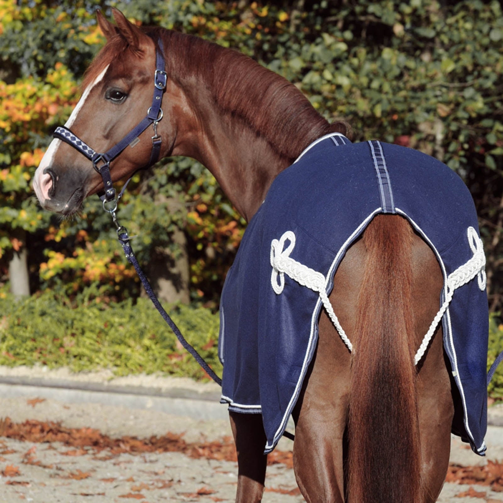 HORSEWARE - Couverture de refroidissement en polar Newmarket HORSEWARE - Couverture de refroidissement en polar Newmarket