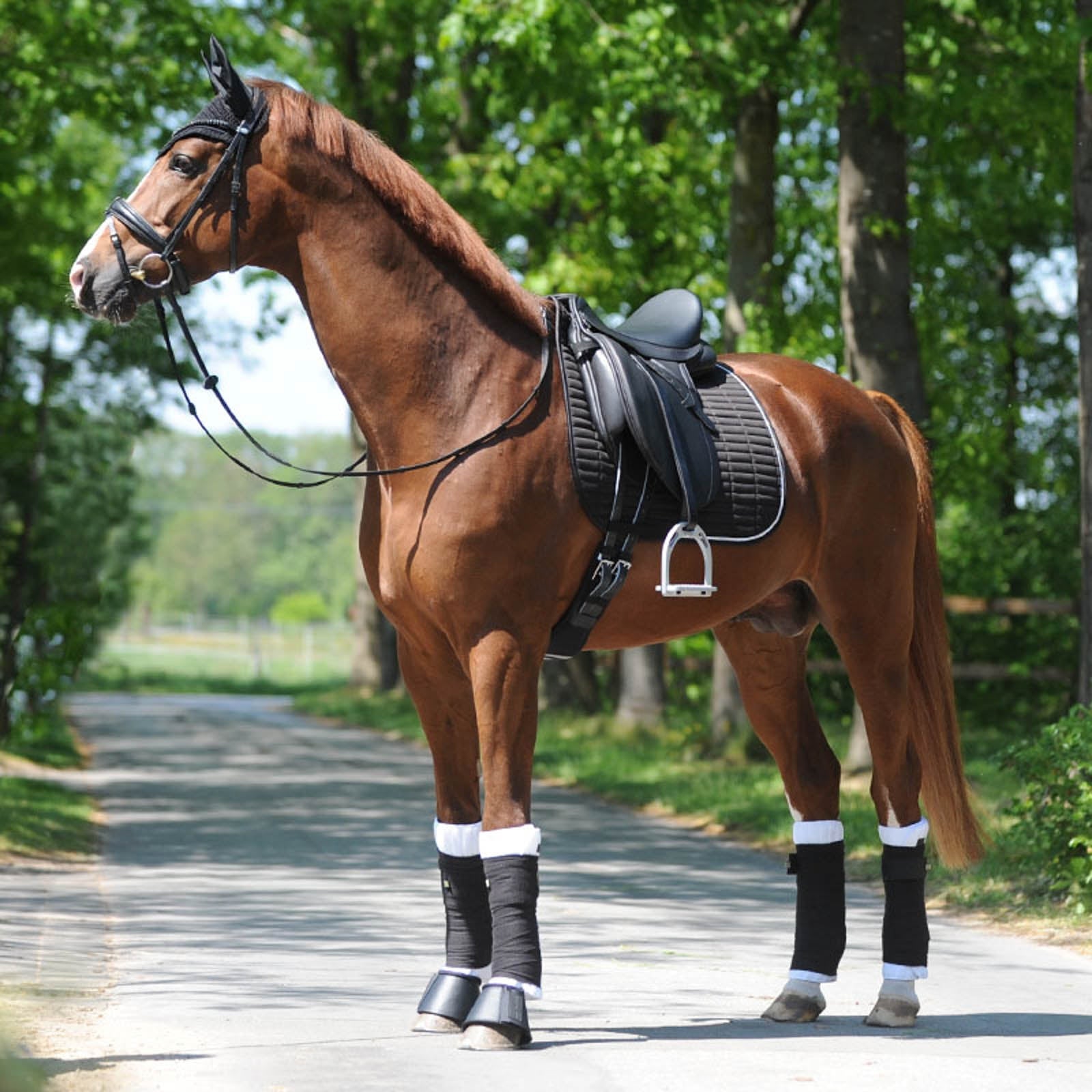 Tapis de dressage pour cheval Back on Track Nights | La sellerie de Maé Tapis de dressage pour cheval Back on Track Nights | La sellerie de Maé
