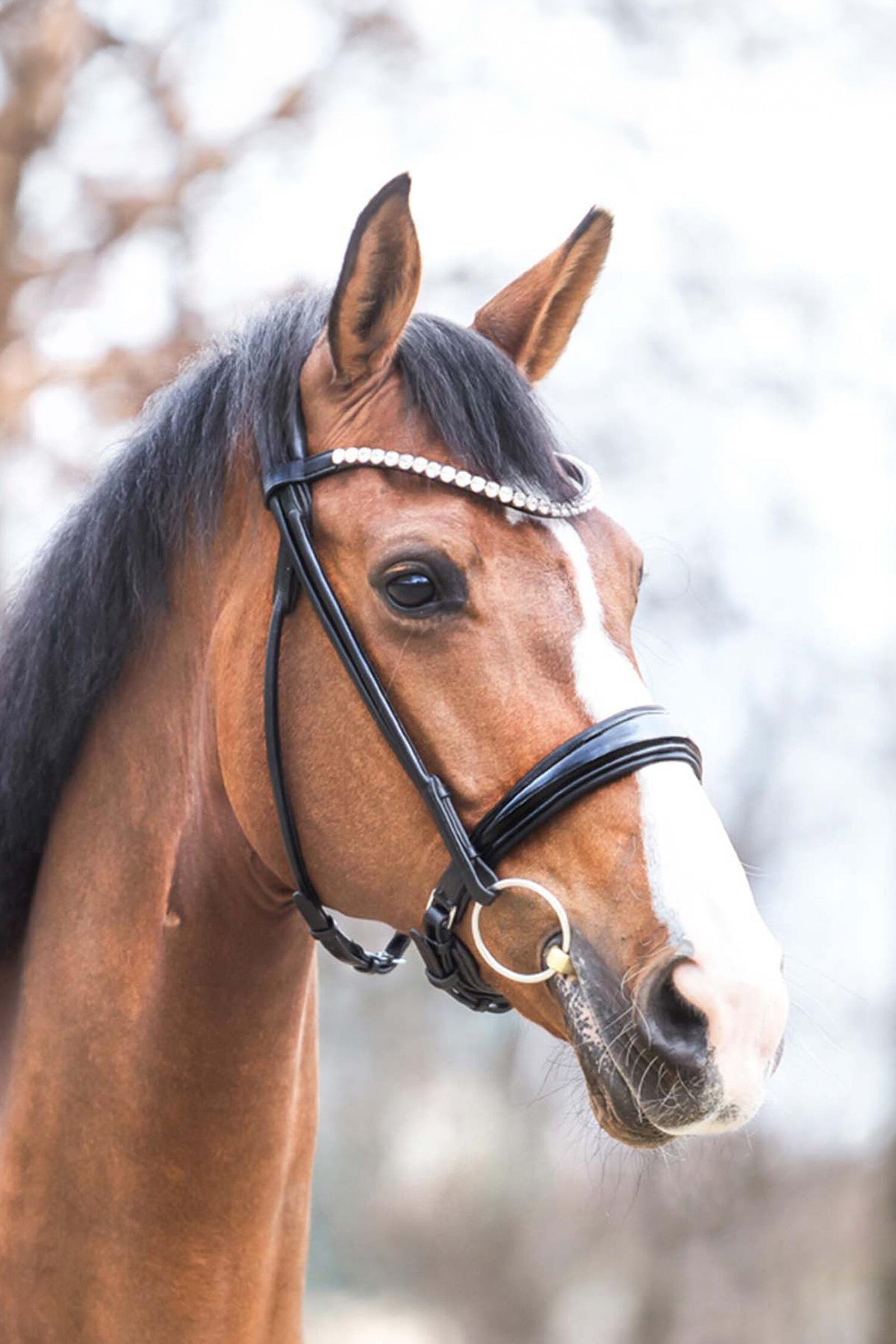 Kavalkade Florina Patent Leather Bridle With Crank Noseband Bridles & Reins