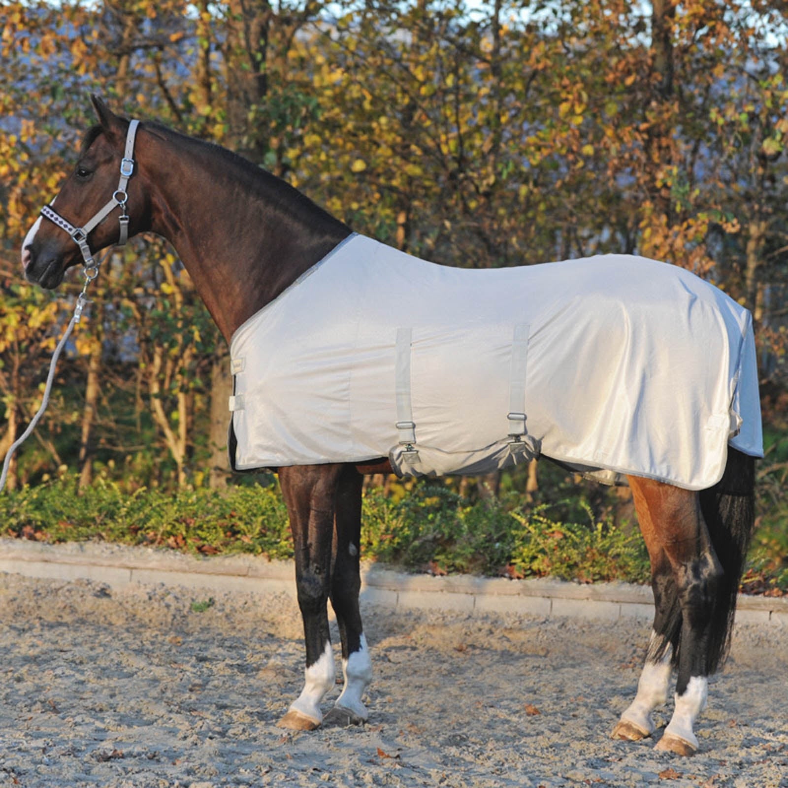 Kavalkade Couverture anti-mouches avec couvre-encolure amovible Couvertures cheval