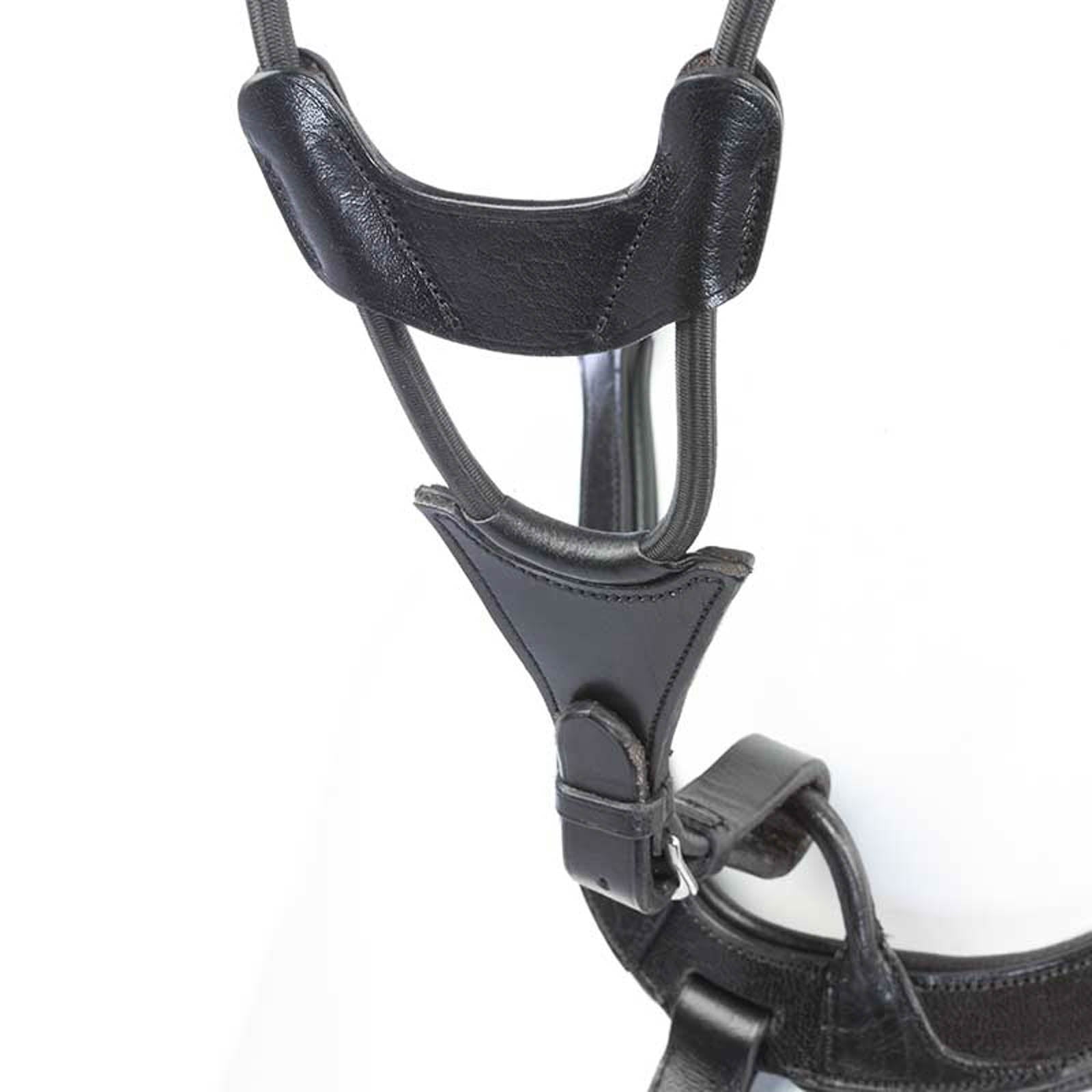Kavalkade Martingale Fourche Élastique Briderie et enrênements